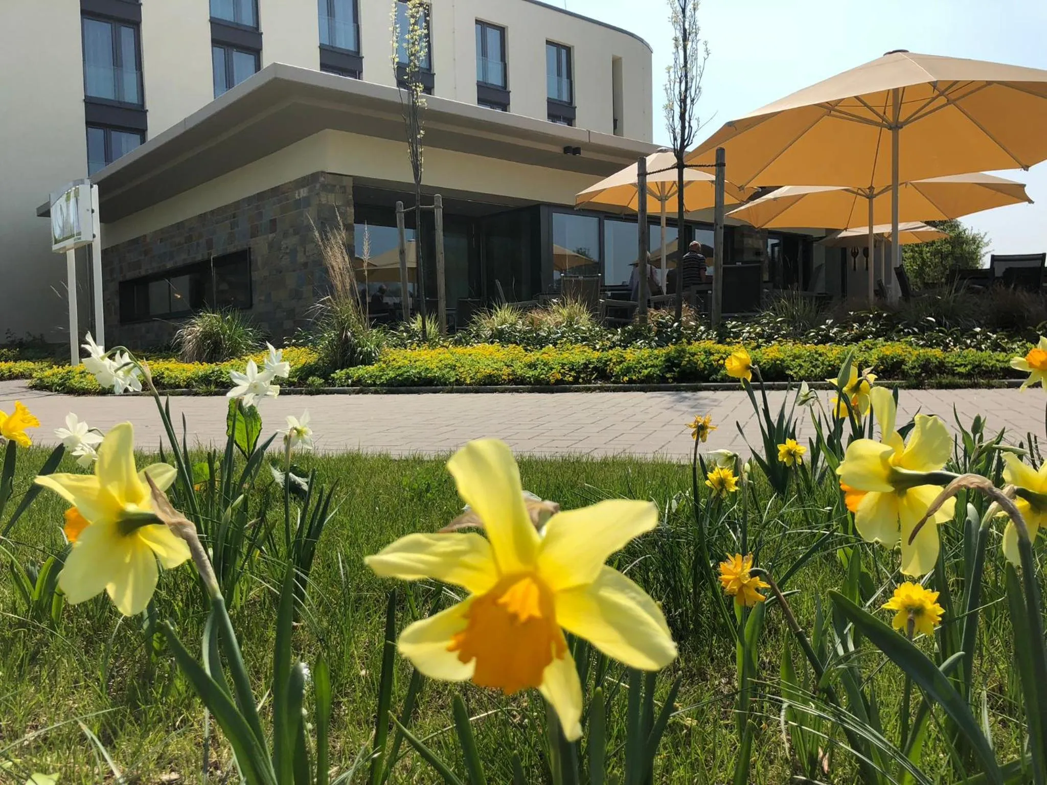 Balcony/Terrace in Hotel Susato