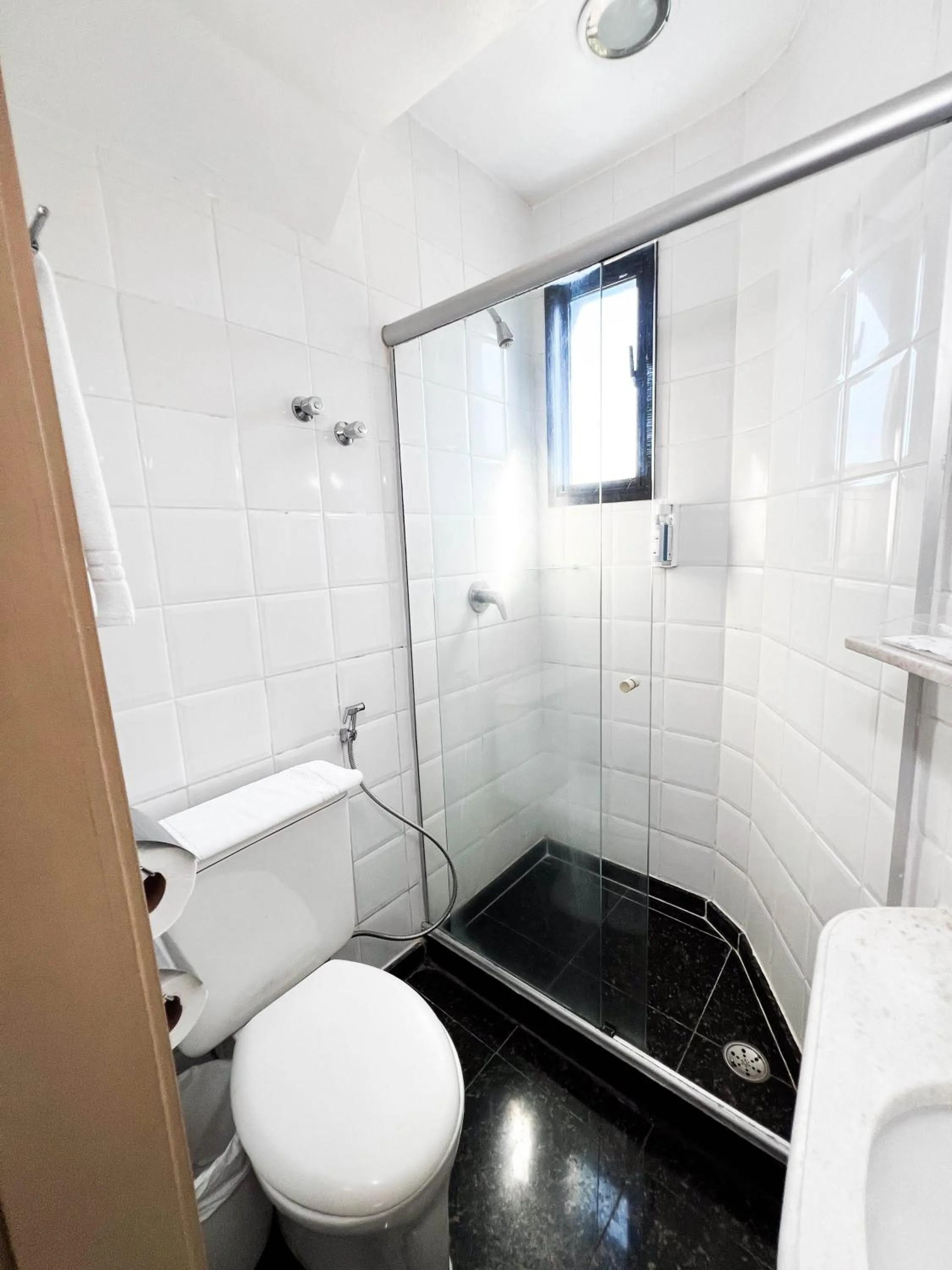 Shower in Royal Center Hotel Lourdes