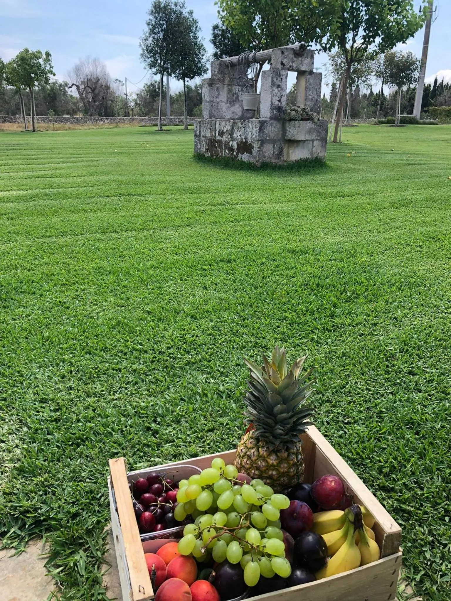 Spring in Agriturismo Tenuta Calitre