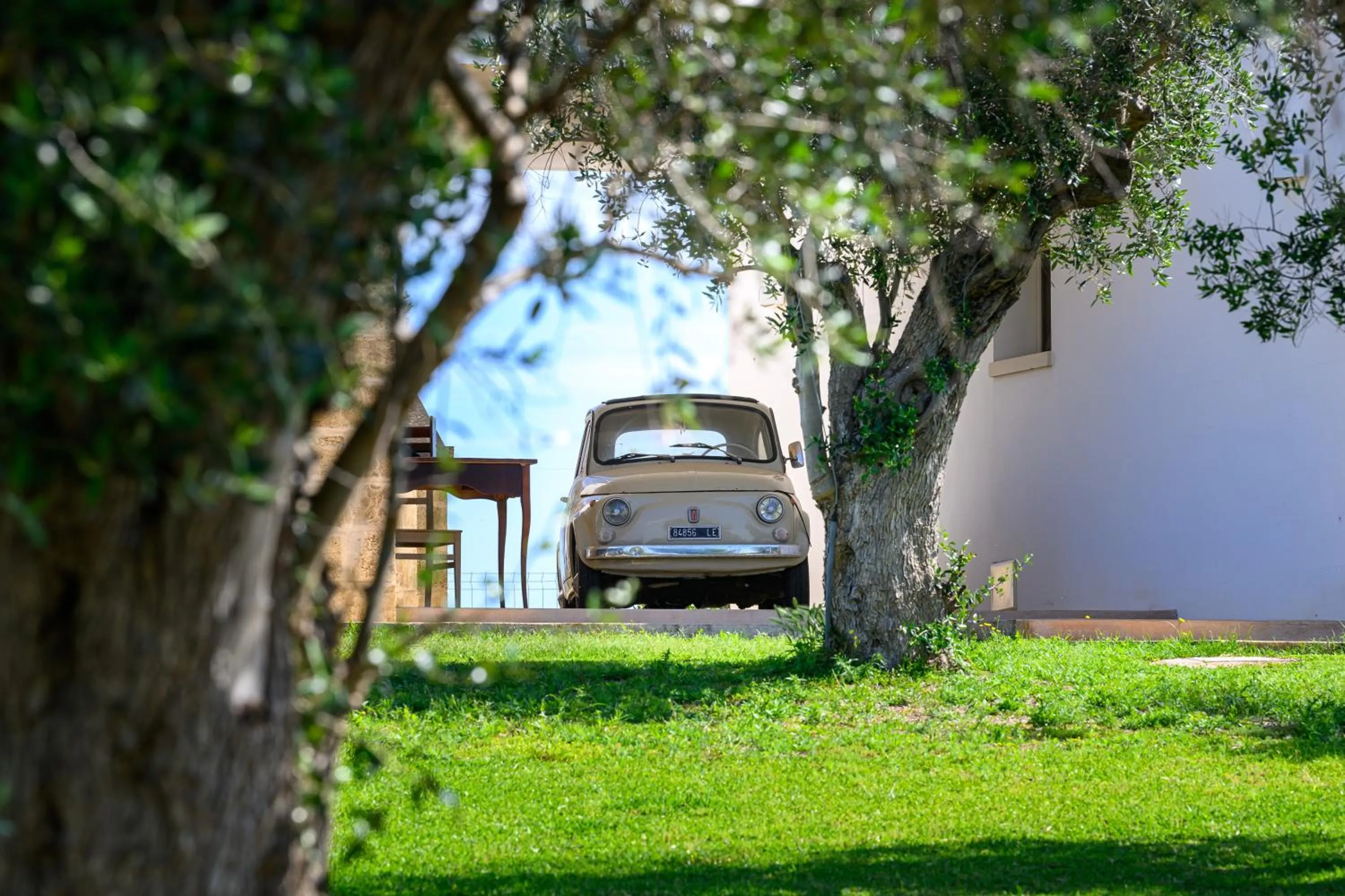 Garden in Agriturismo Tenuta Calitre