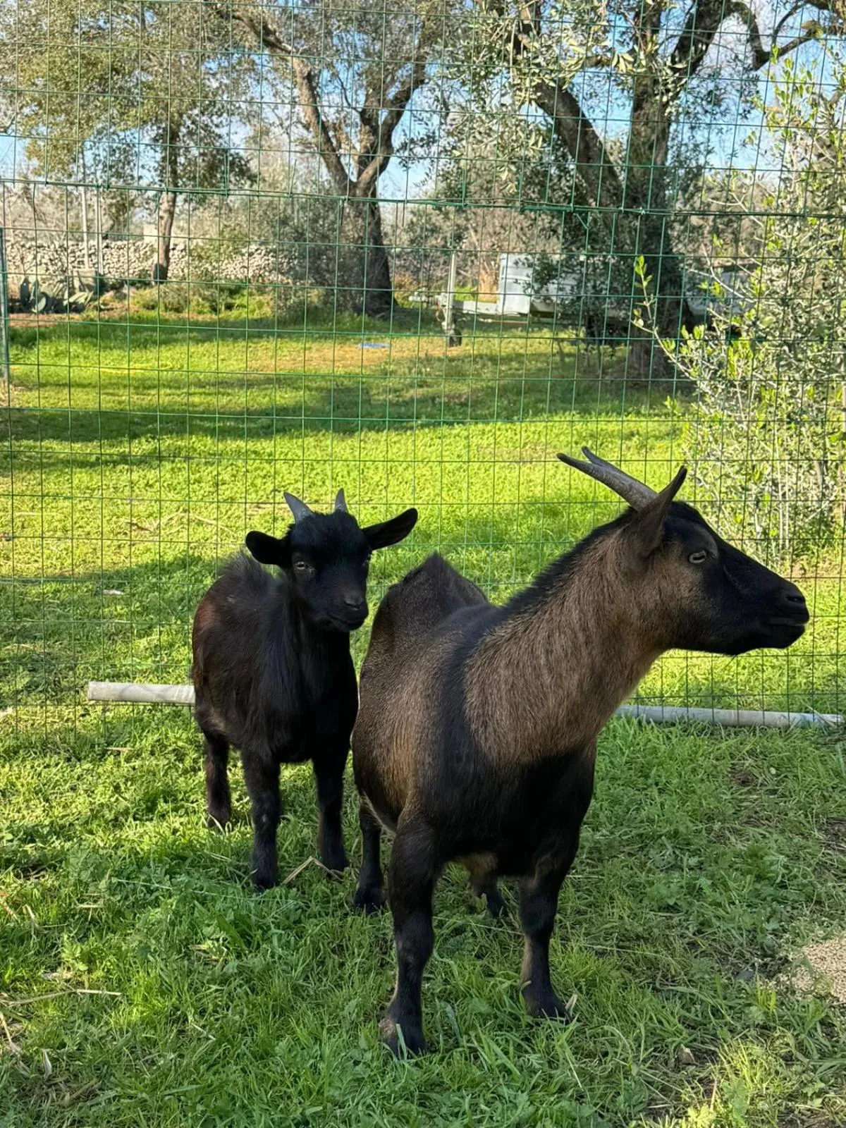 Day in Agriturismo Tenuta Calitre