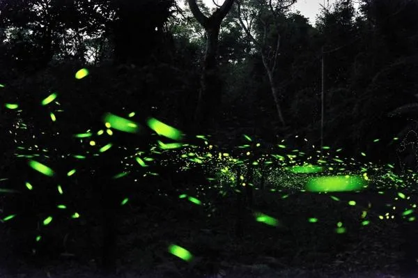 Off site in Upon The Hill