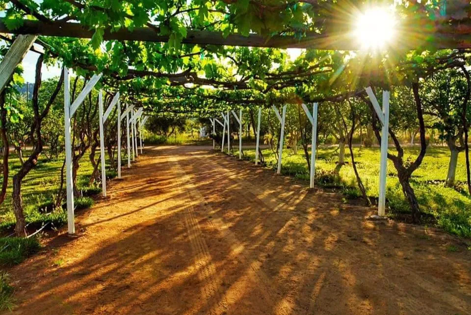 Natural landscape in Villa Corsua