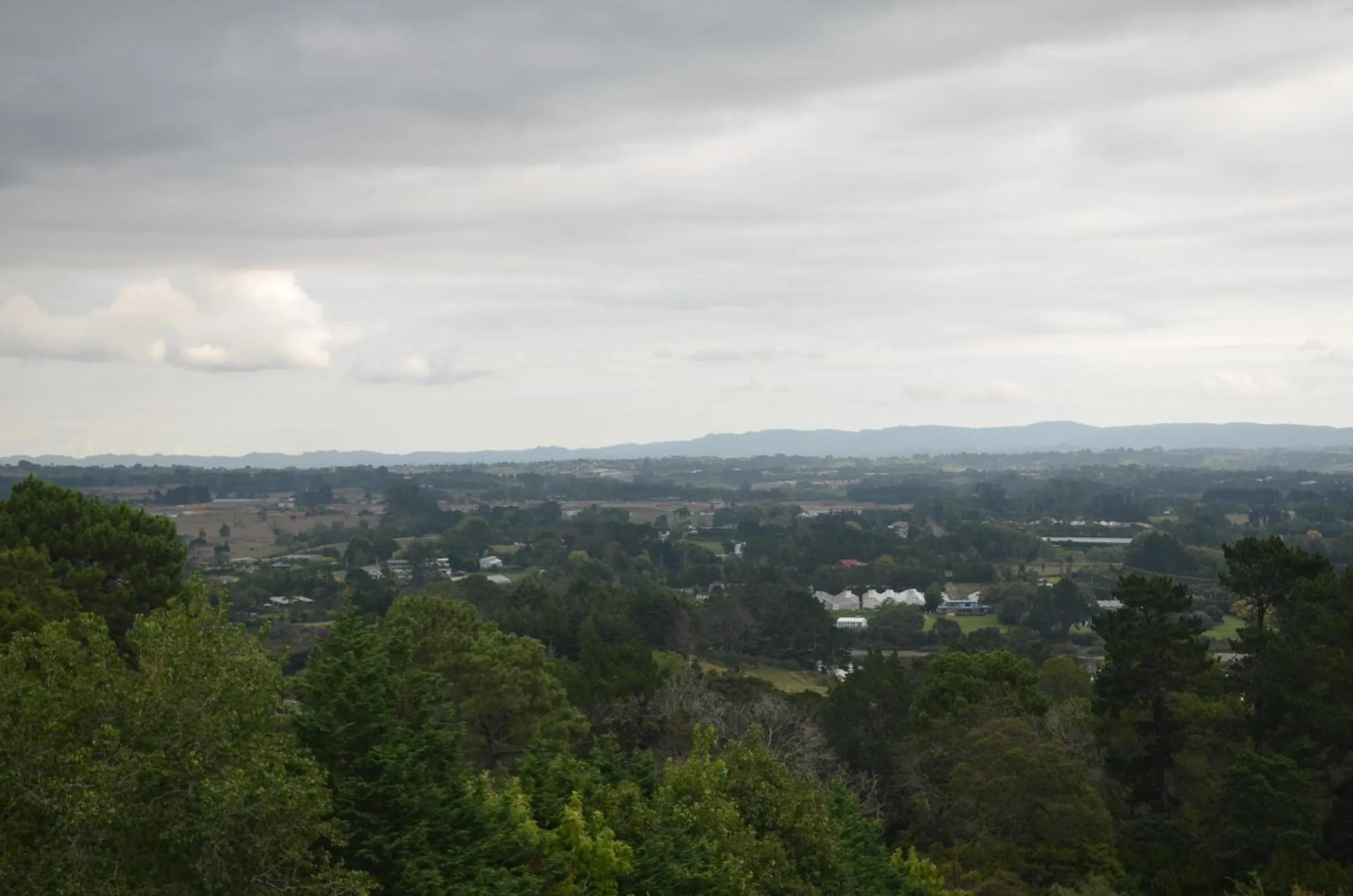 Natural landscape in Lavender Hill