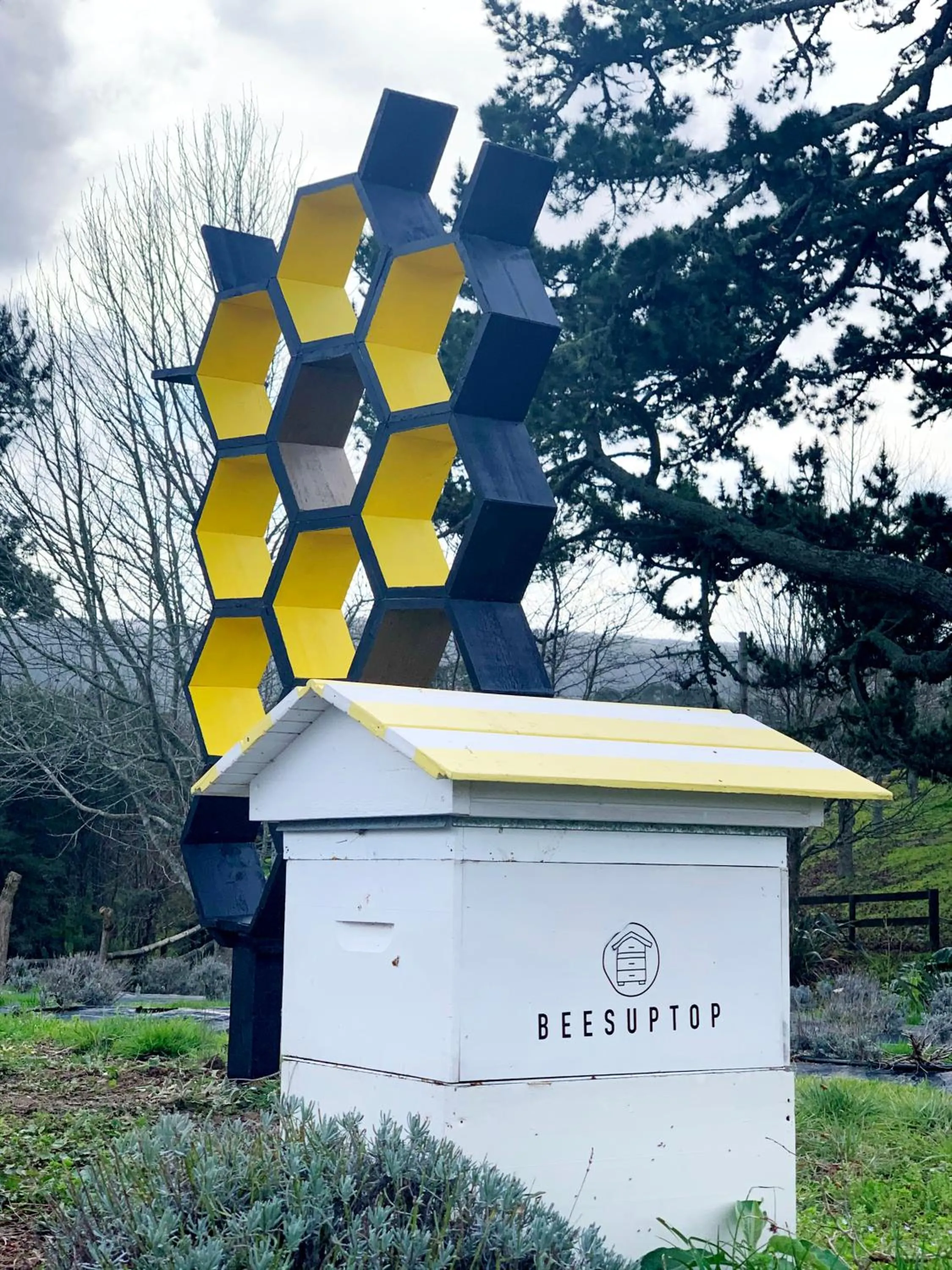 Garden in Lavender Hill