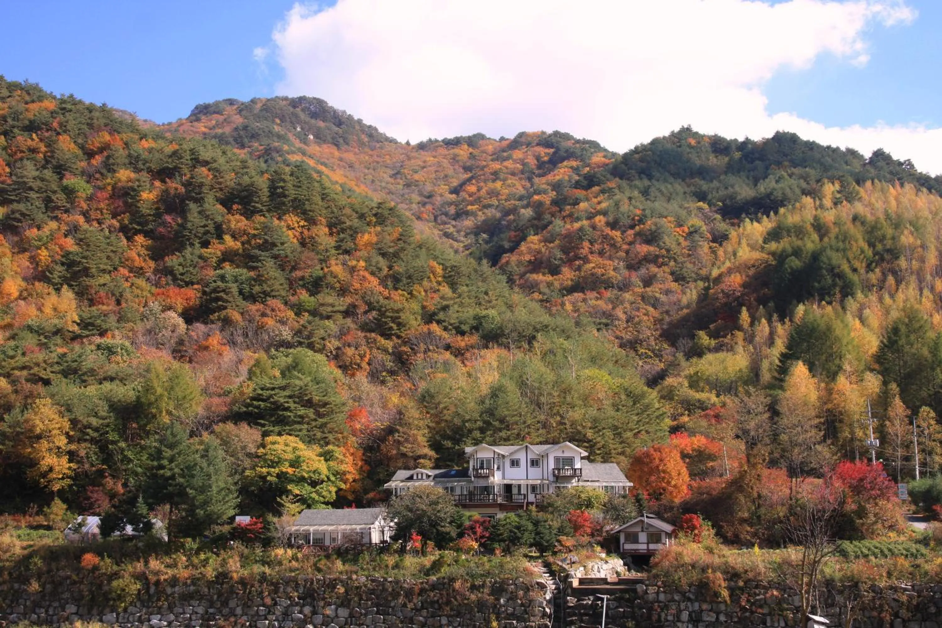 Property building in Starvill Pension