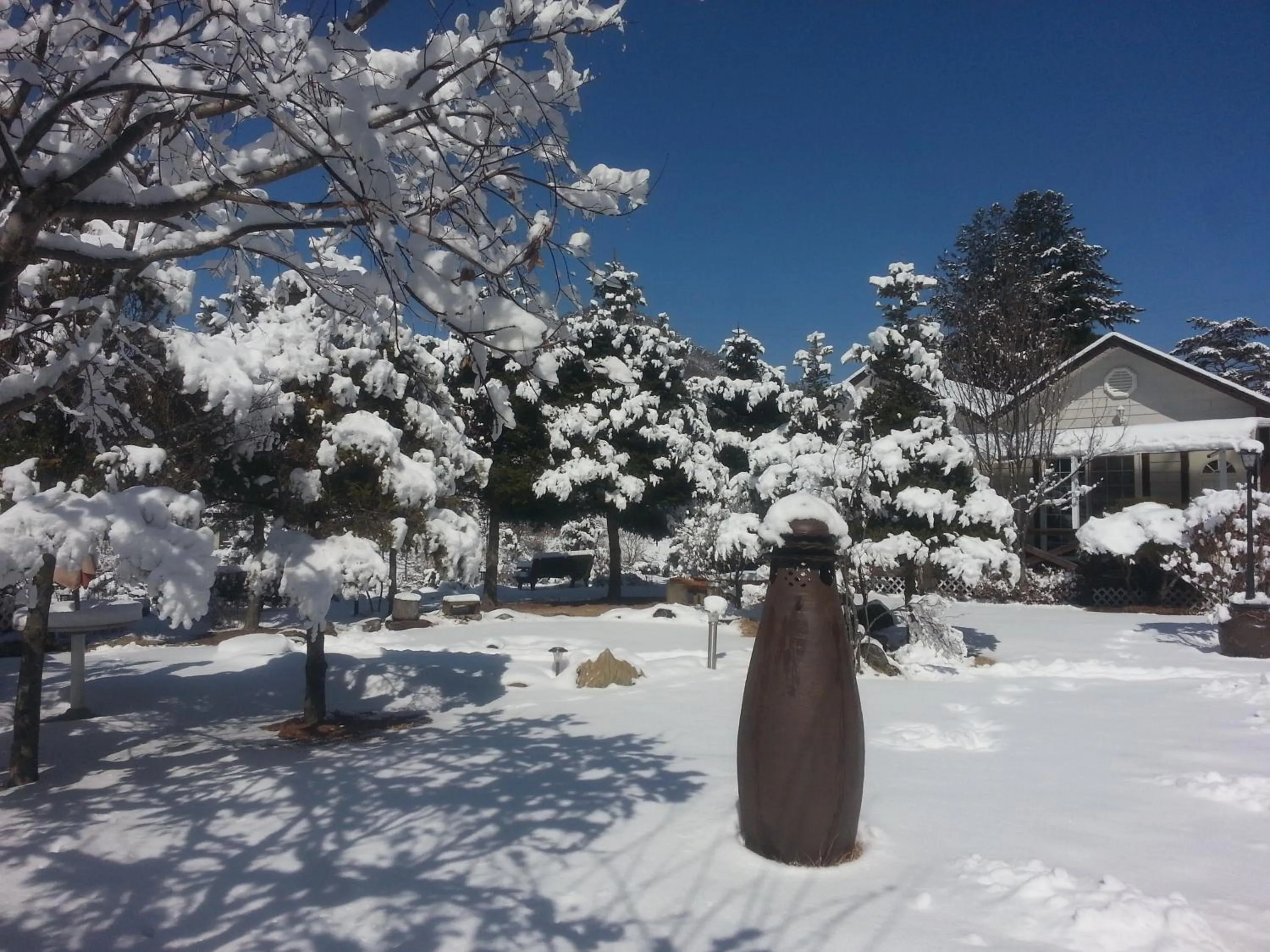 Natural landscape in Starvill Pension