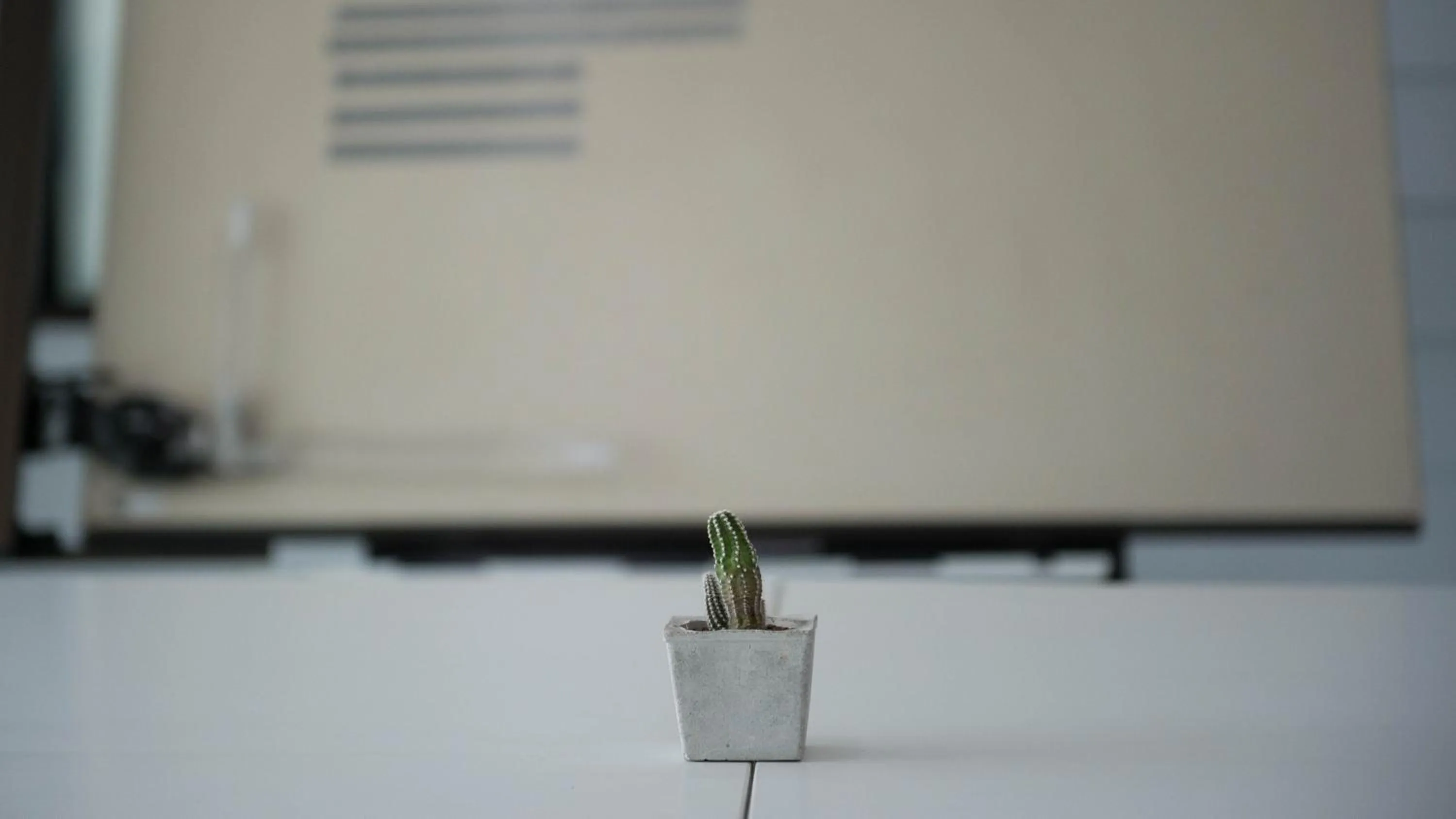 Library in Veethara Boutique Hotel