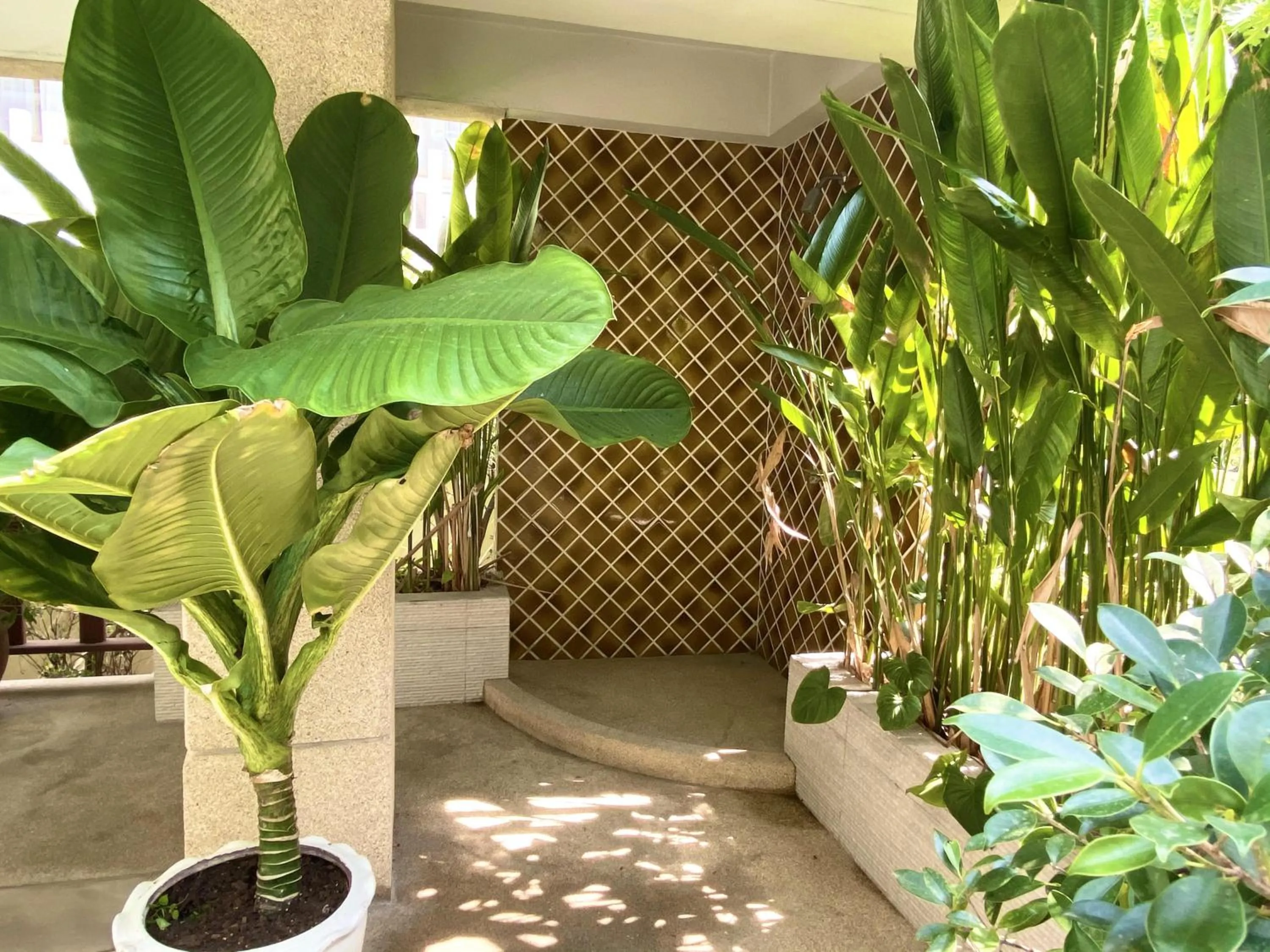 Swimming pool in 14 Place Sukhumvit Suites