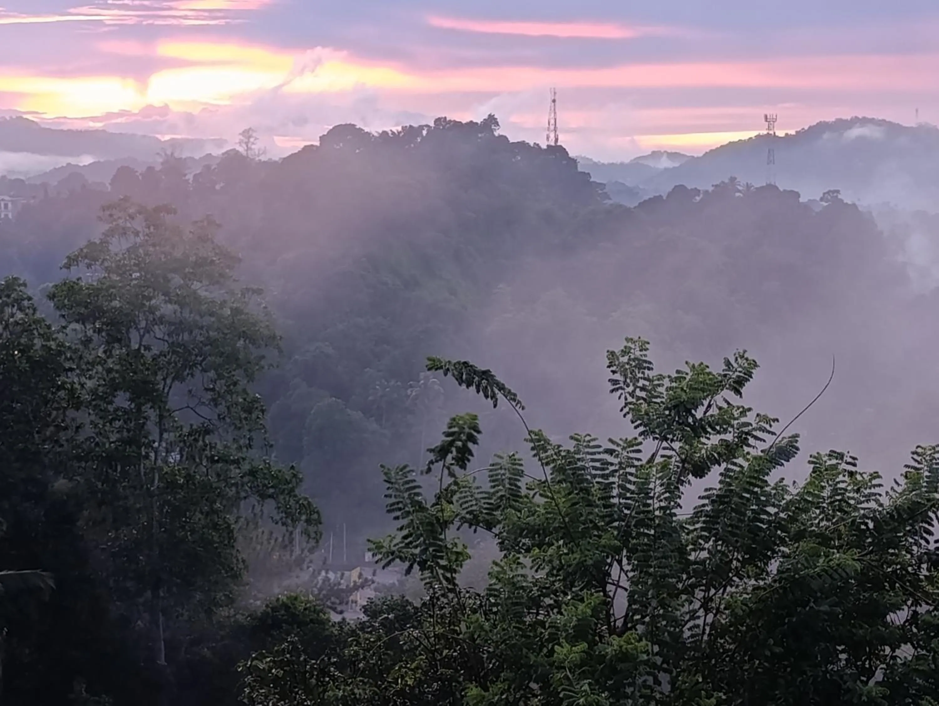 Sunrise in Villa Forest View - No: 50/17