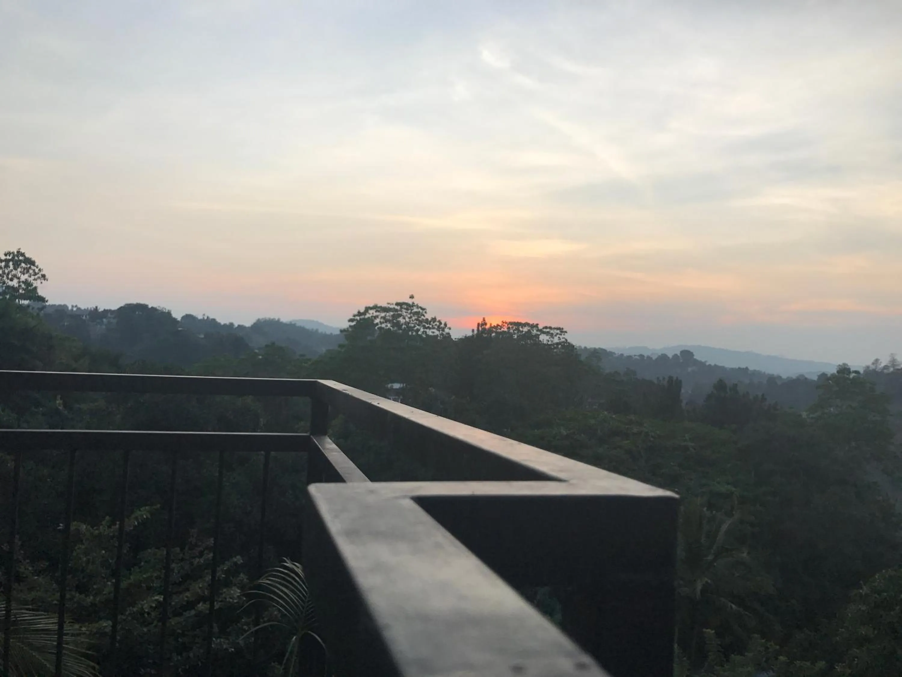 Property building in Villa Forest View - No: 50/17