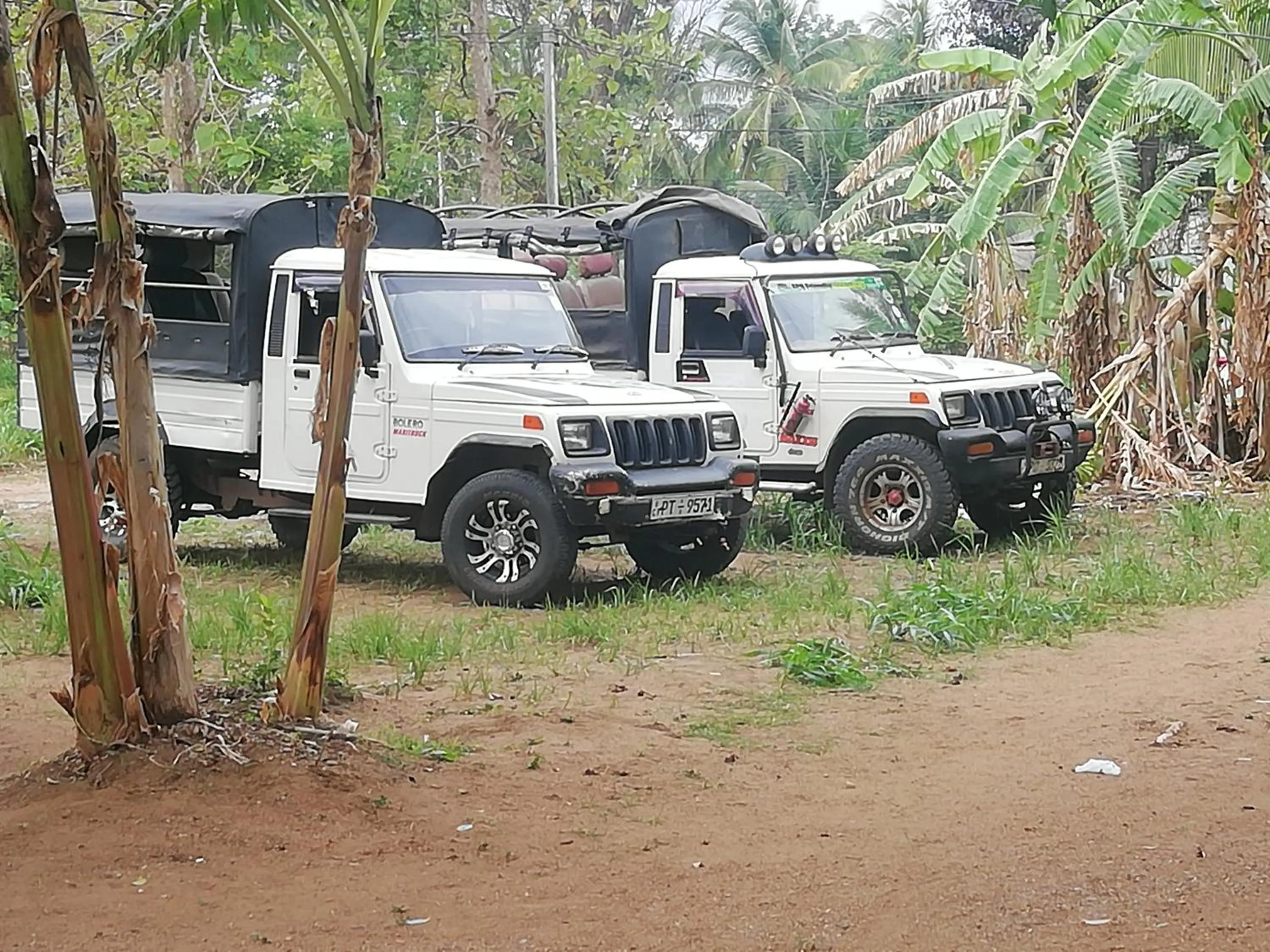 Entertainment in Sigiri Sky Home & TreeHouse