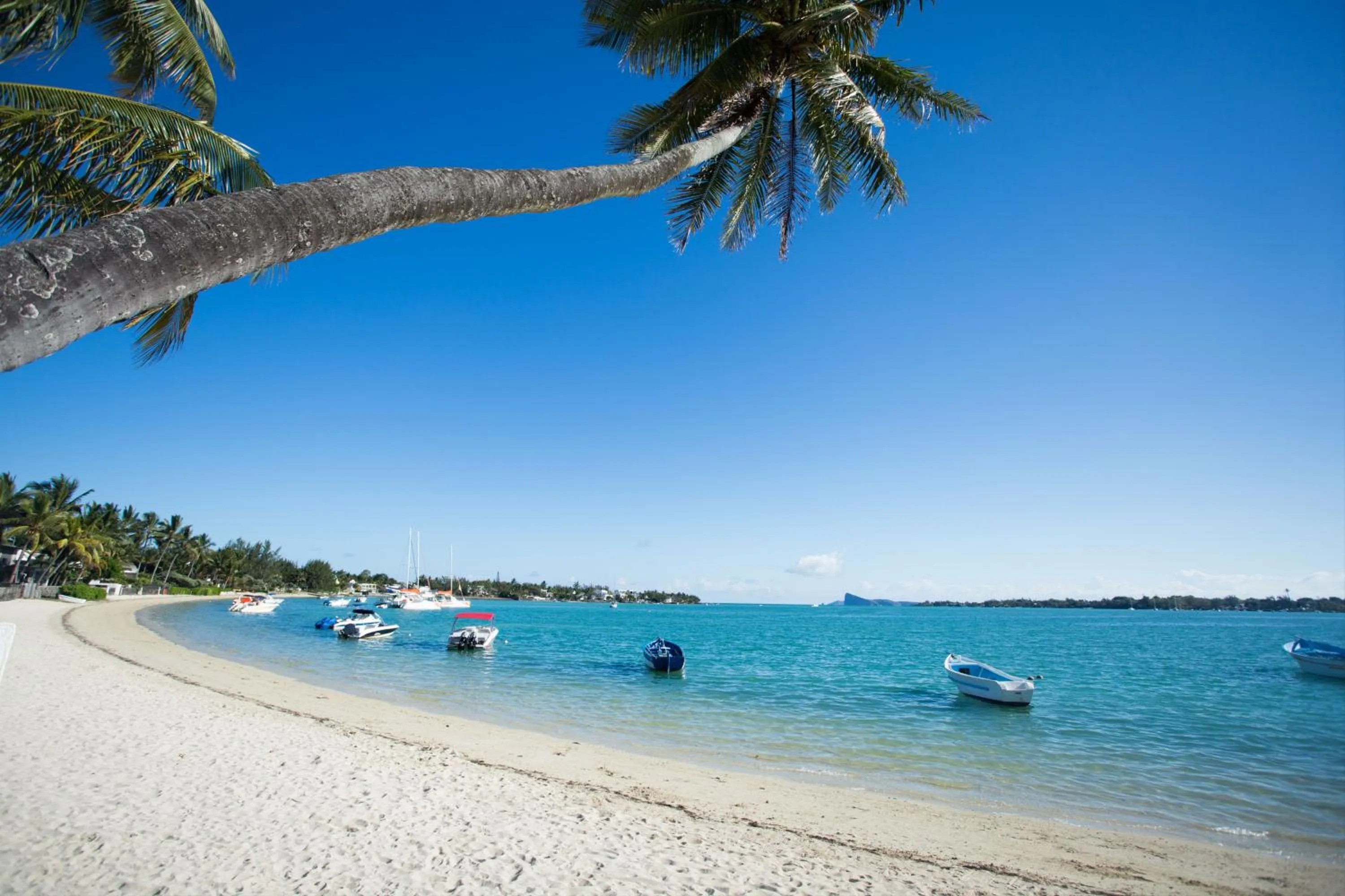 Natural landscape in Garden Villas