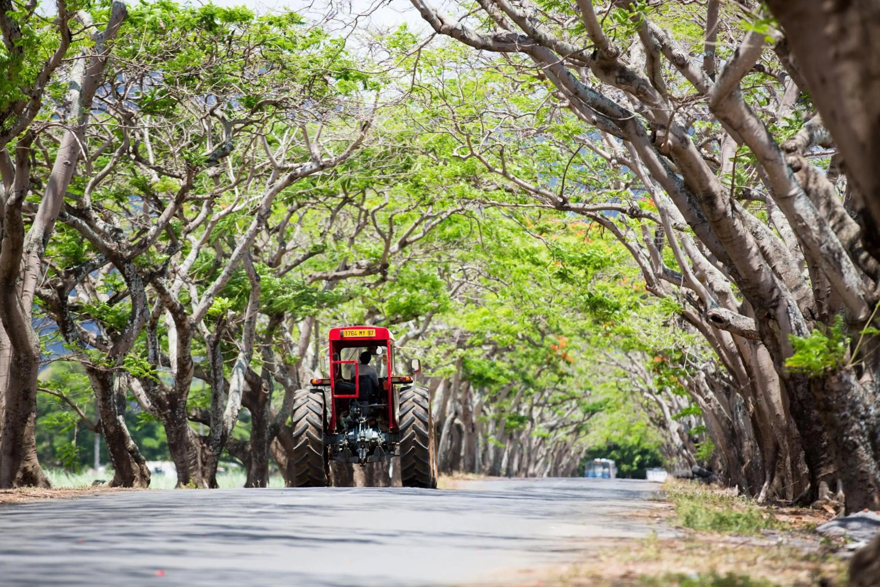 Natural landscape in Garden Villas