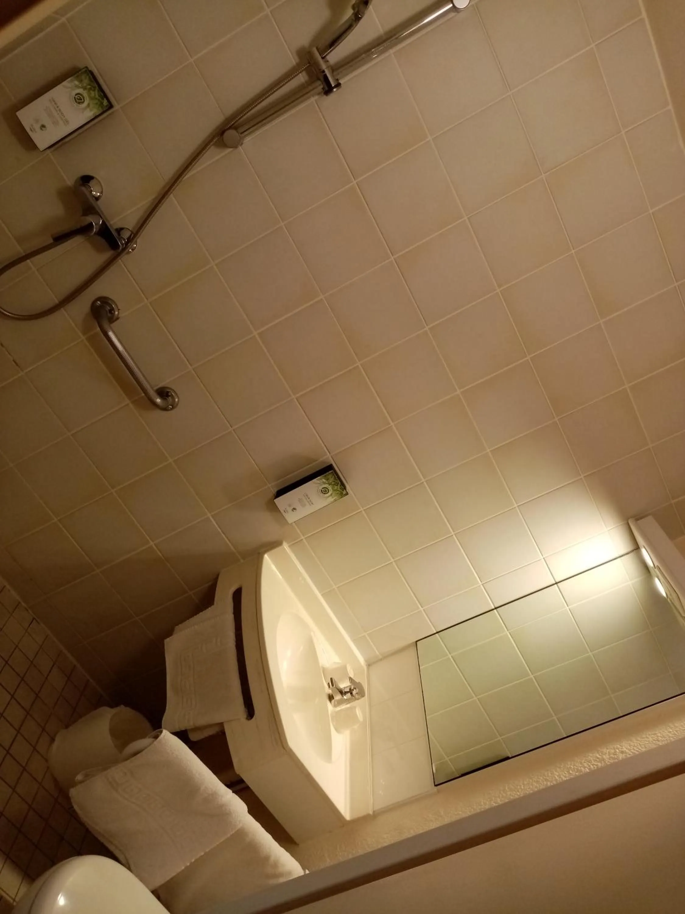 Bathroom in Kyriad Chantilly