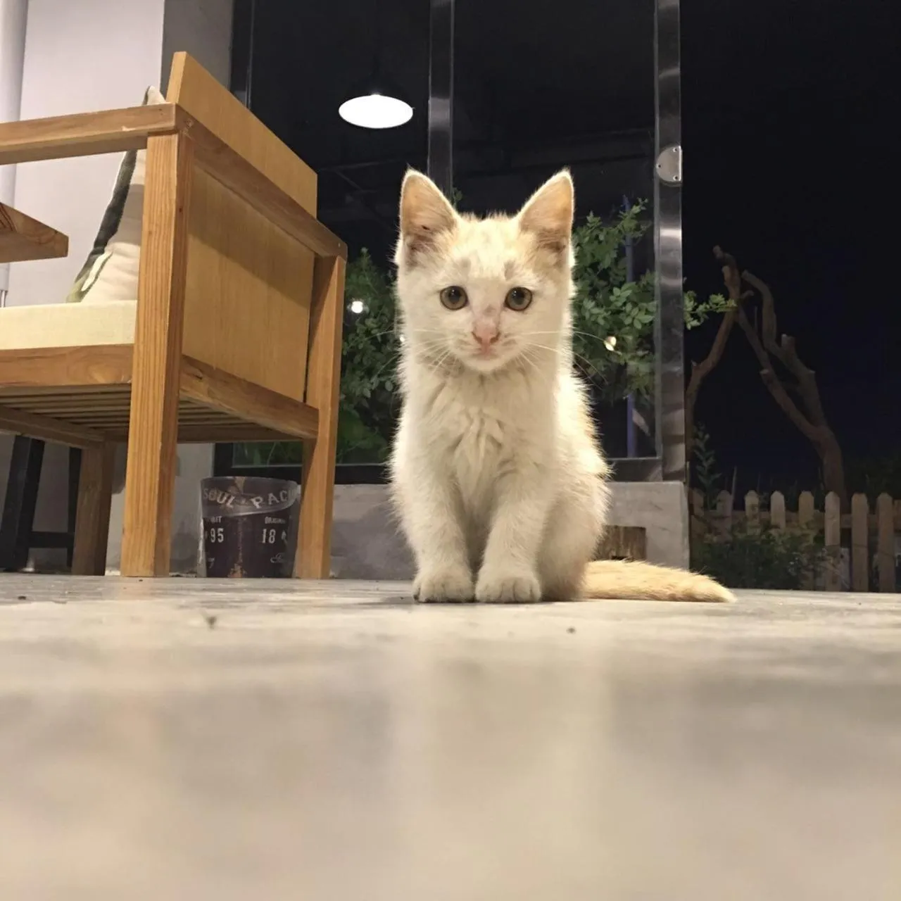 Property building in Zhangjiajie Zhijue Art Hotel