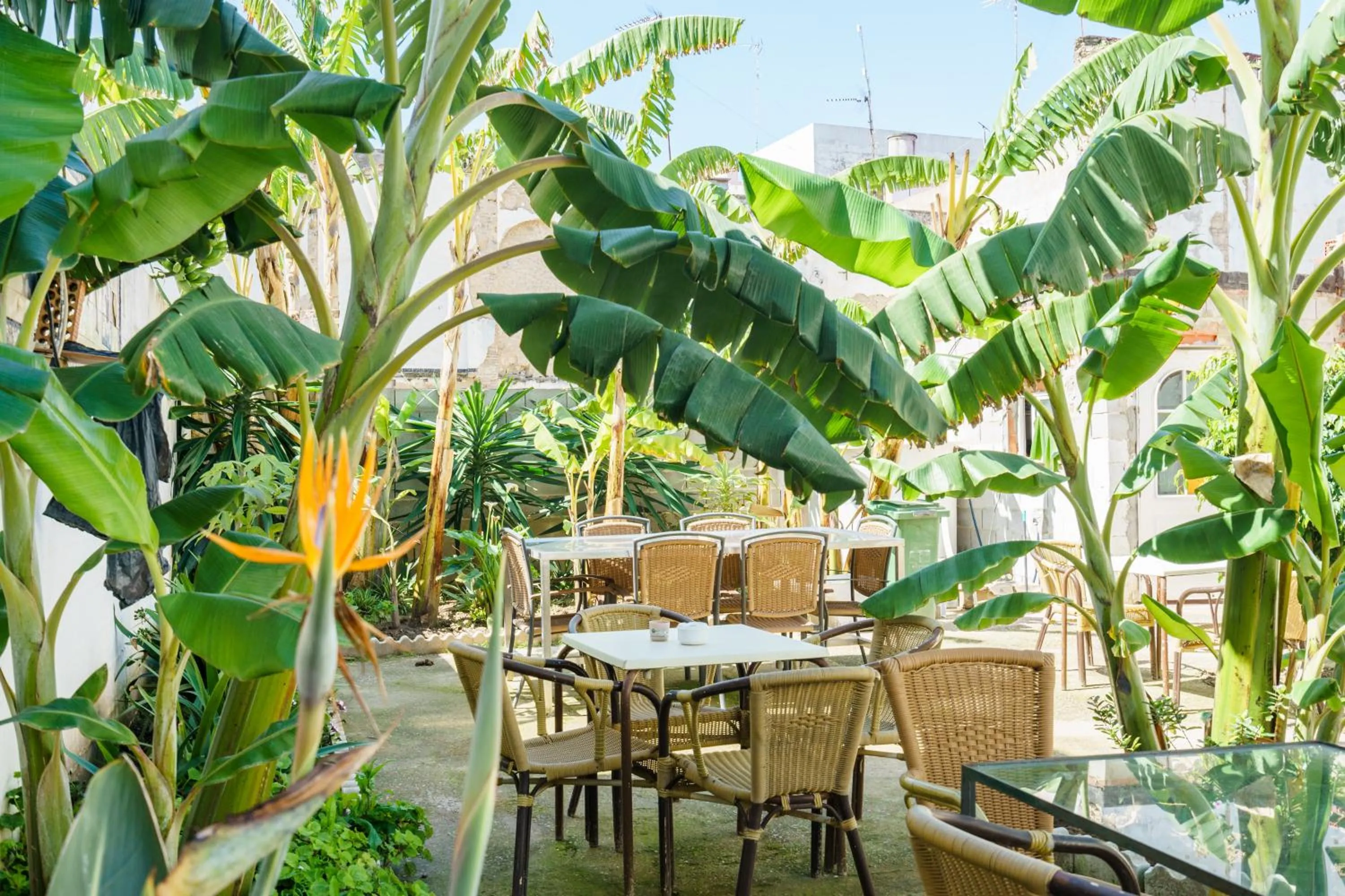Balcony/Terrace in Hotel Carlos V Jerez by Vivere Stays