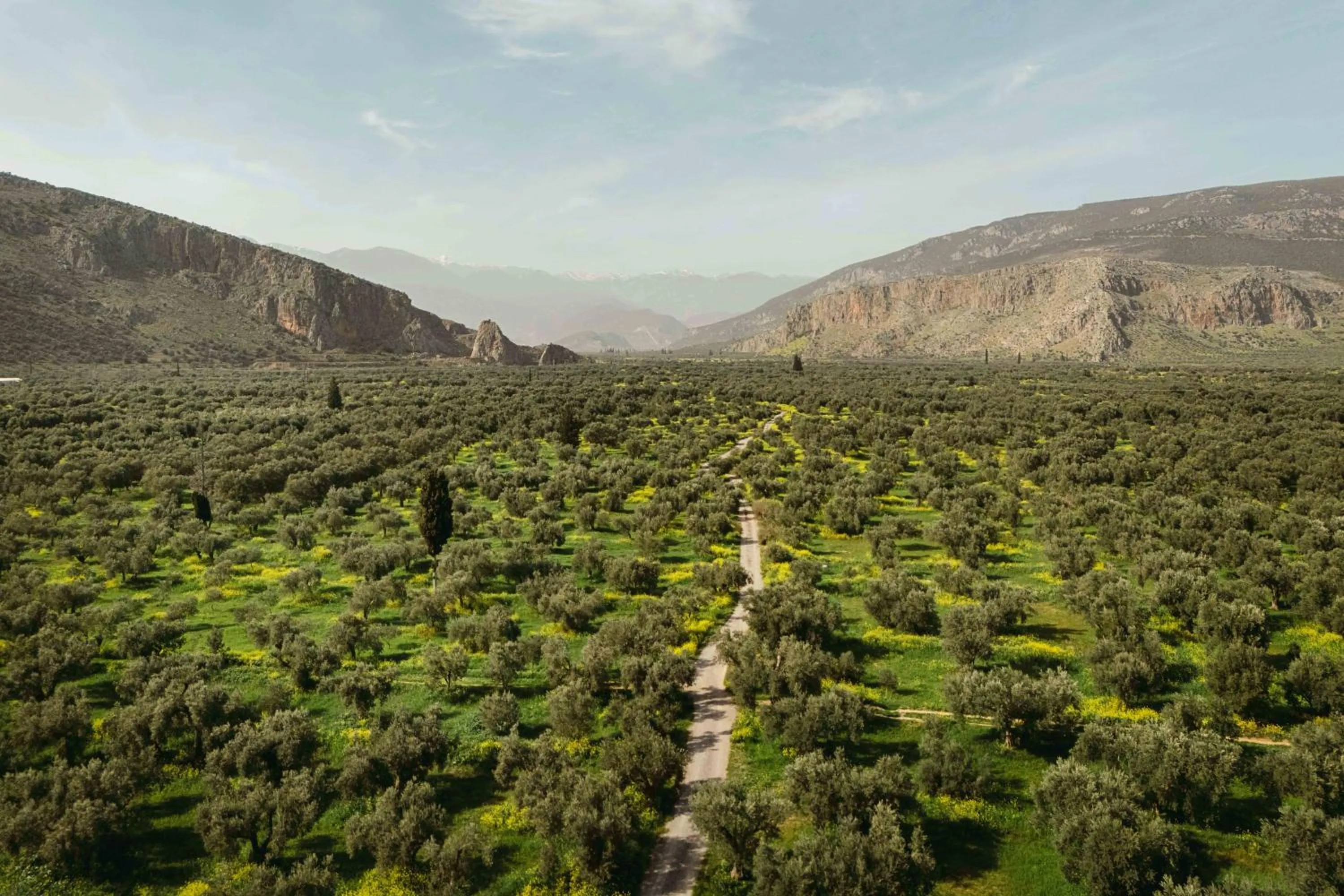 Santa Marina Arachova Resort & Spa