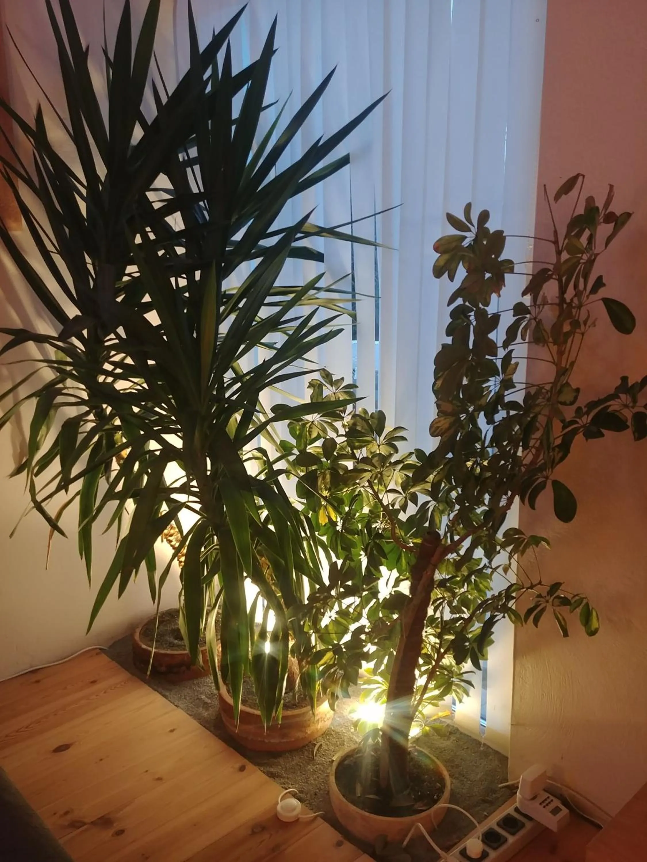 Pension an der Elsterbrücke