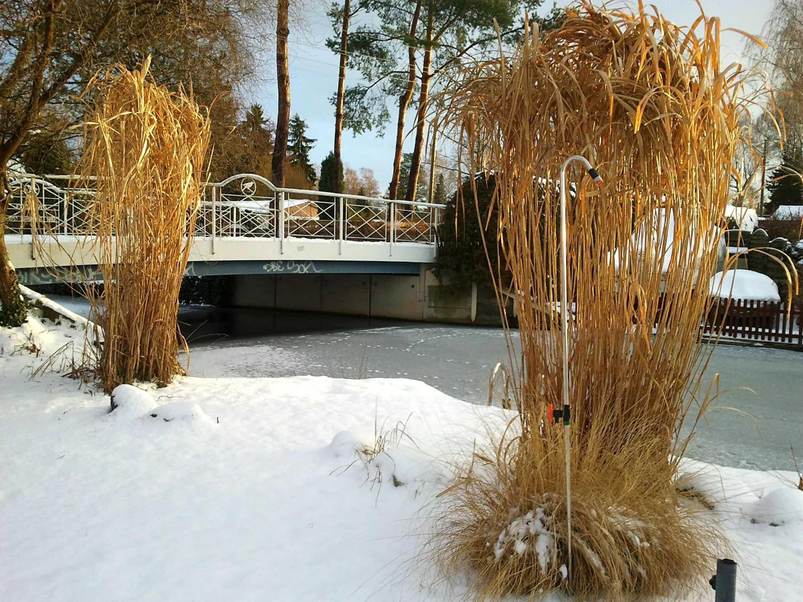 River view in Pension an der Elsterbrücke