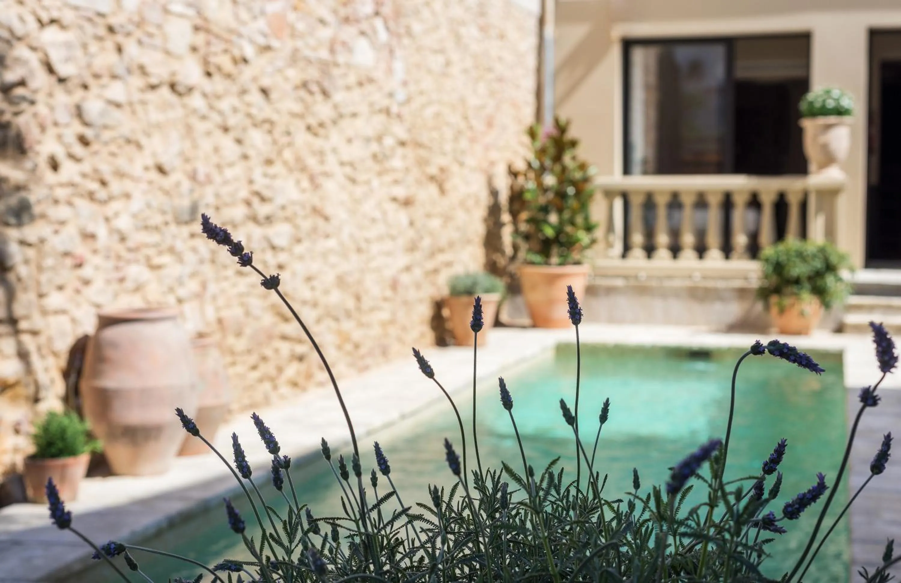 Pool view in Hotel Casa Peya - Adults Only