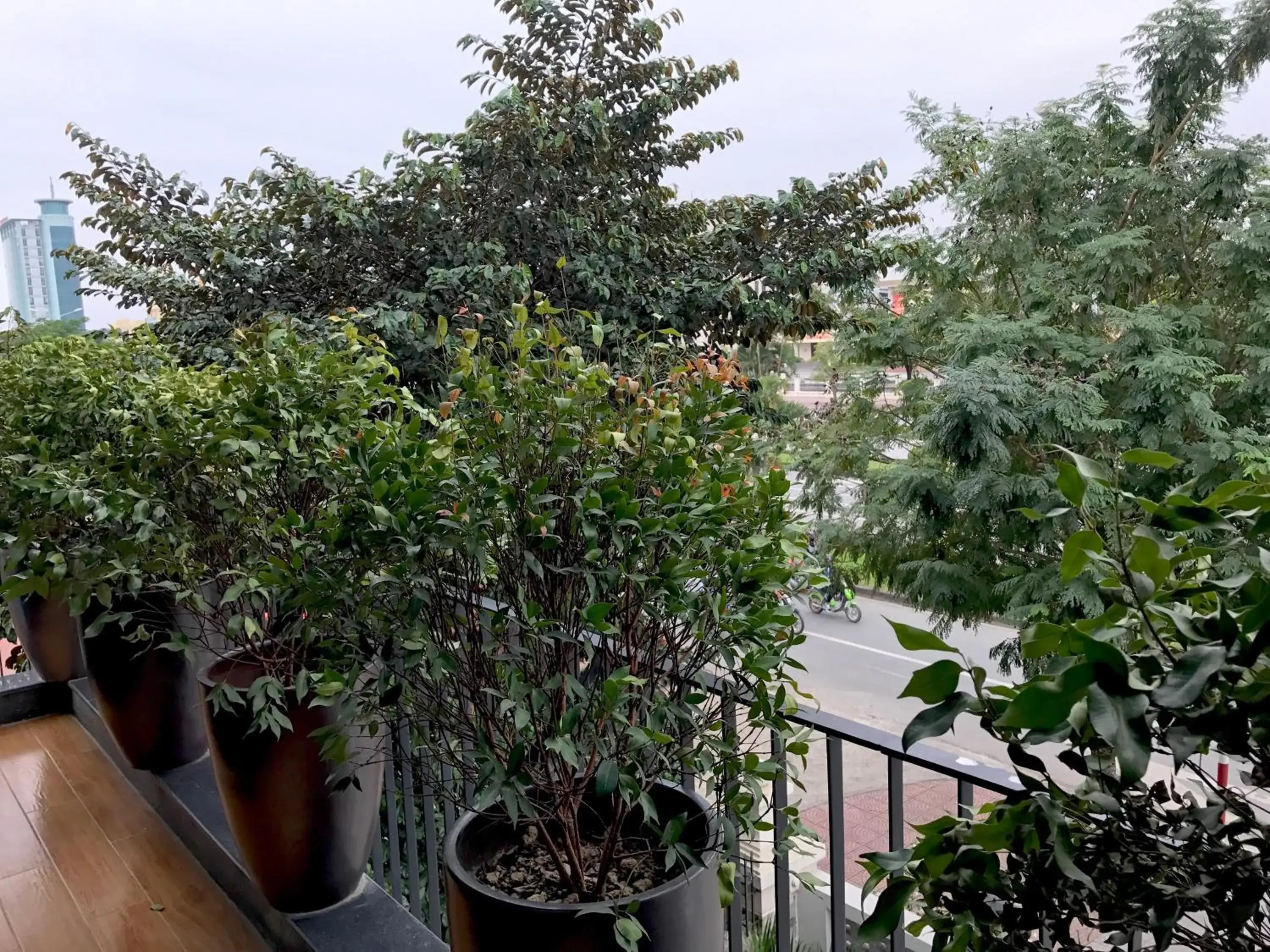 View (from property/room) in F & F Hotel View (from property/room) in F & F Hotel