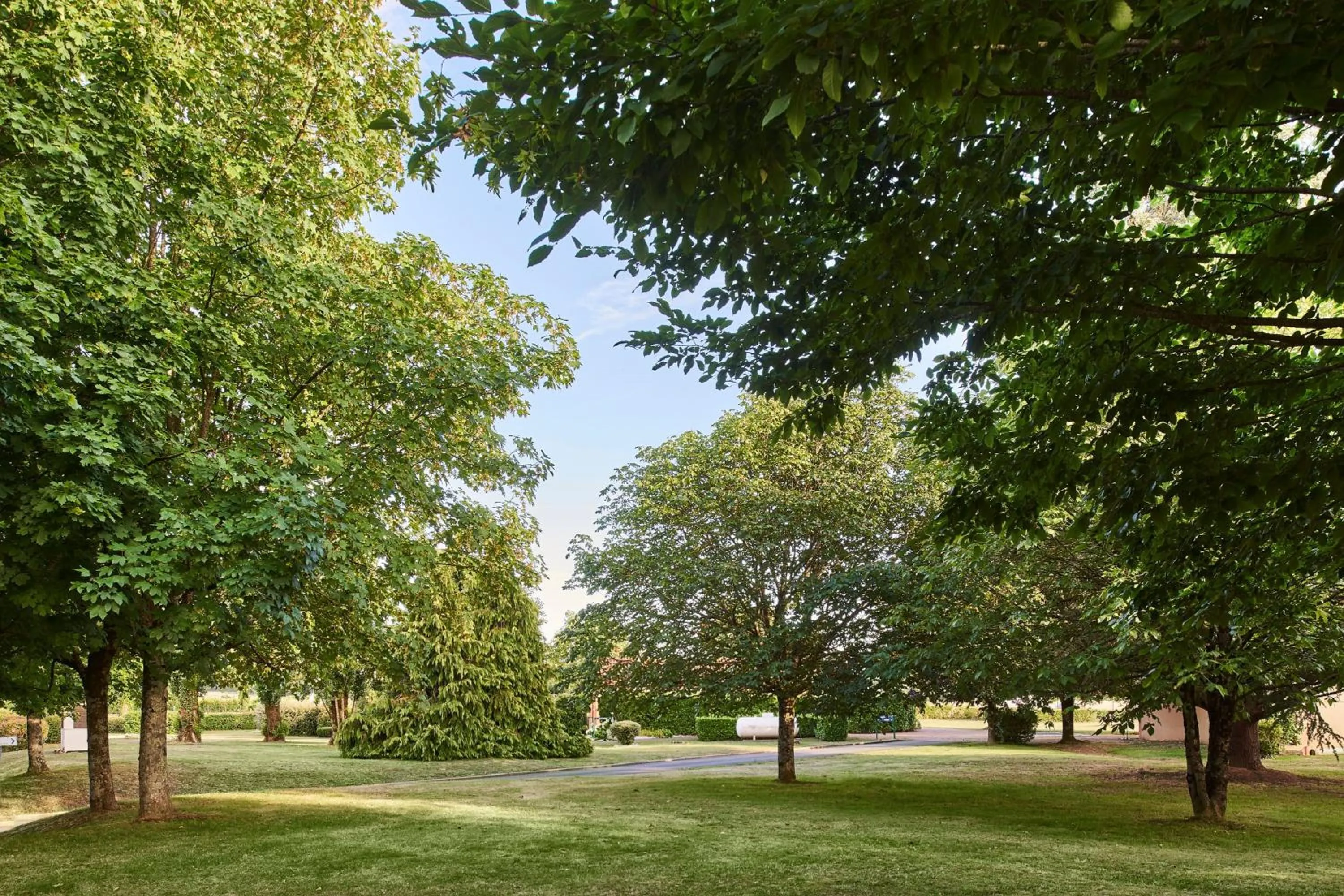 Garden in Kyriad Niort - La Crèche