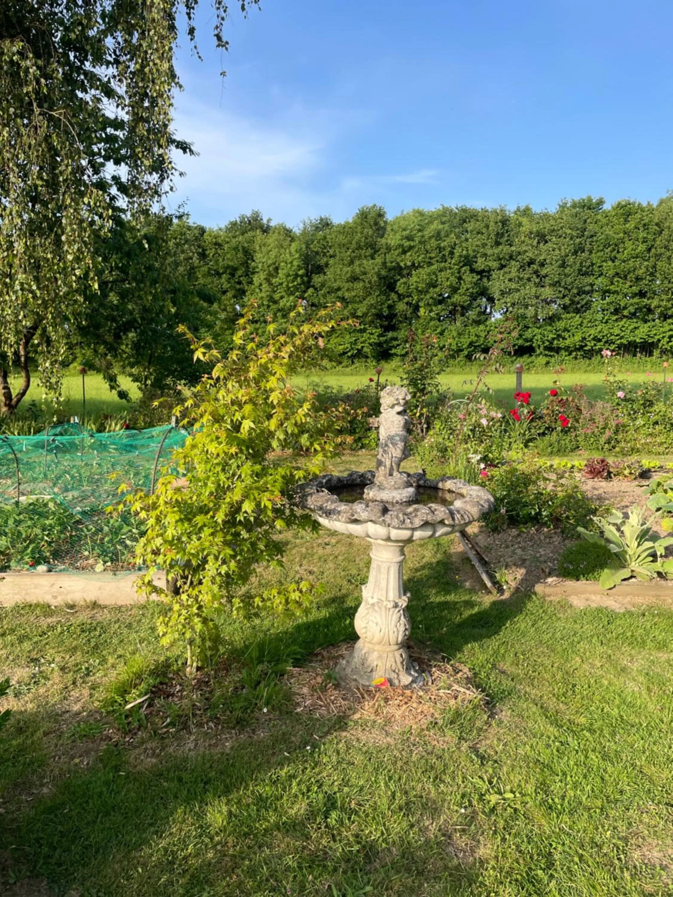 Garden in Le Manoir de la Bigotière