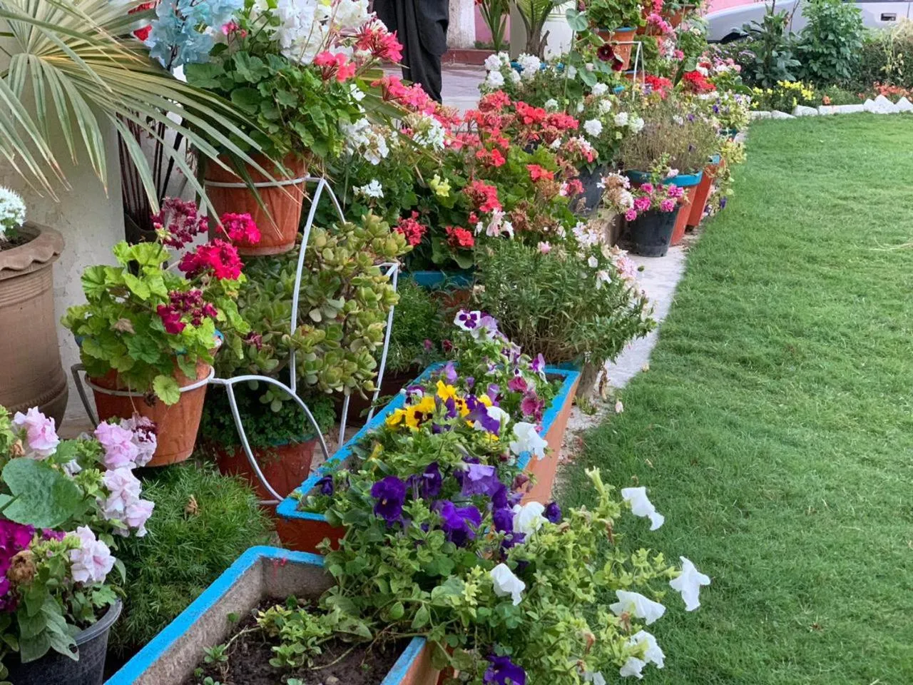 Alaf Laila Guest House