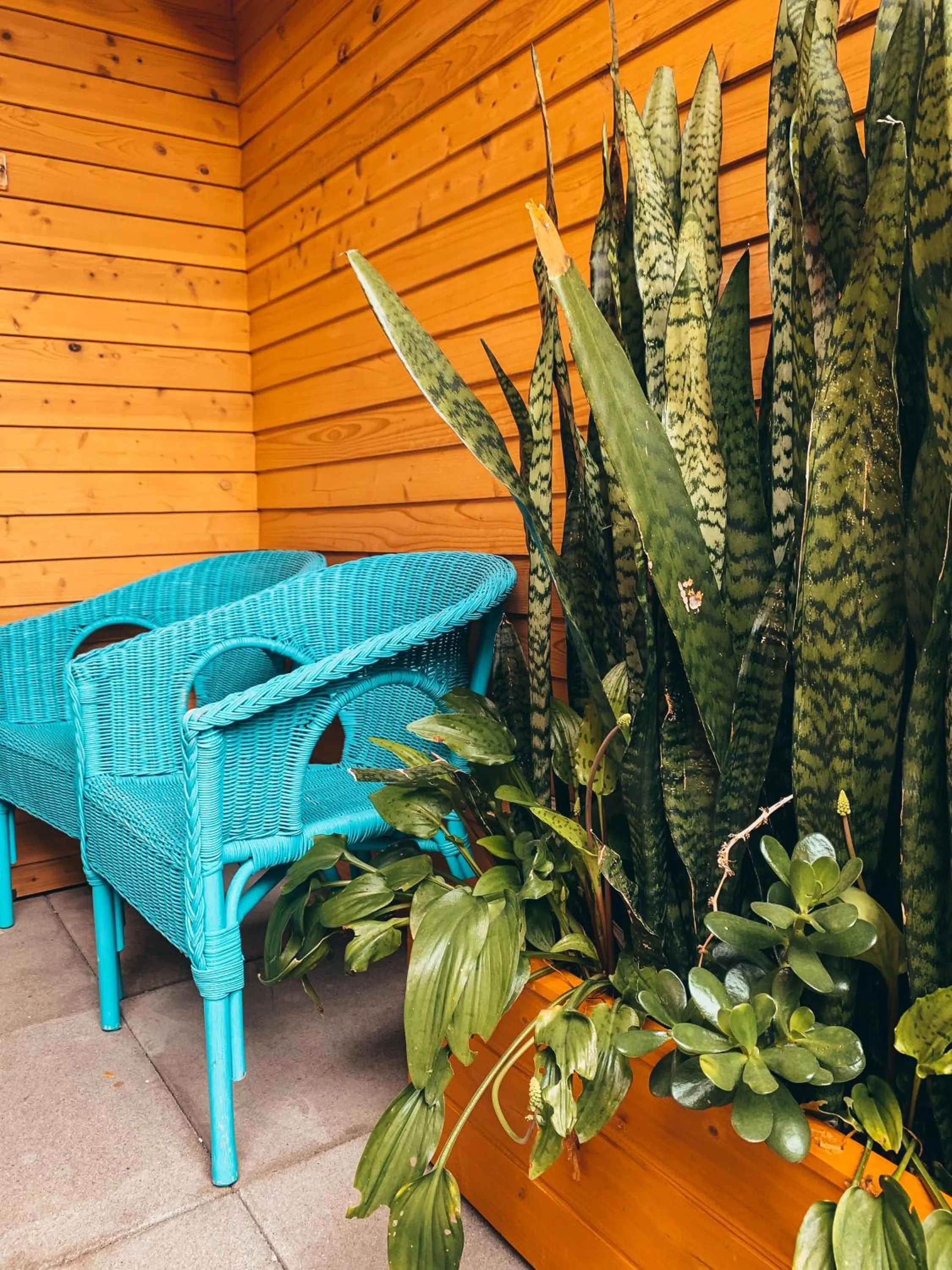 Property building in Porto Pim Bay