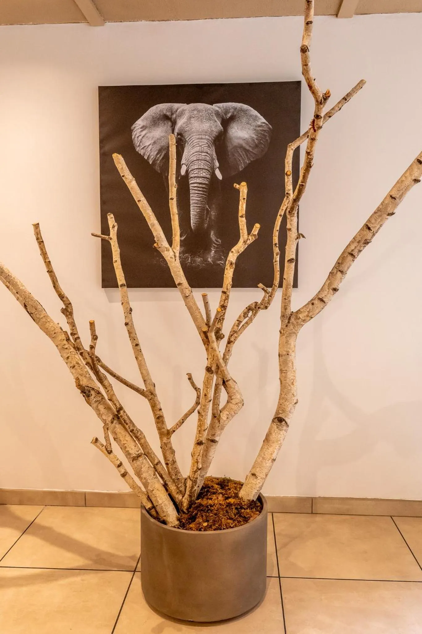 Decorative detail in Kyriad Digne-Les-Bains