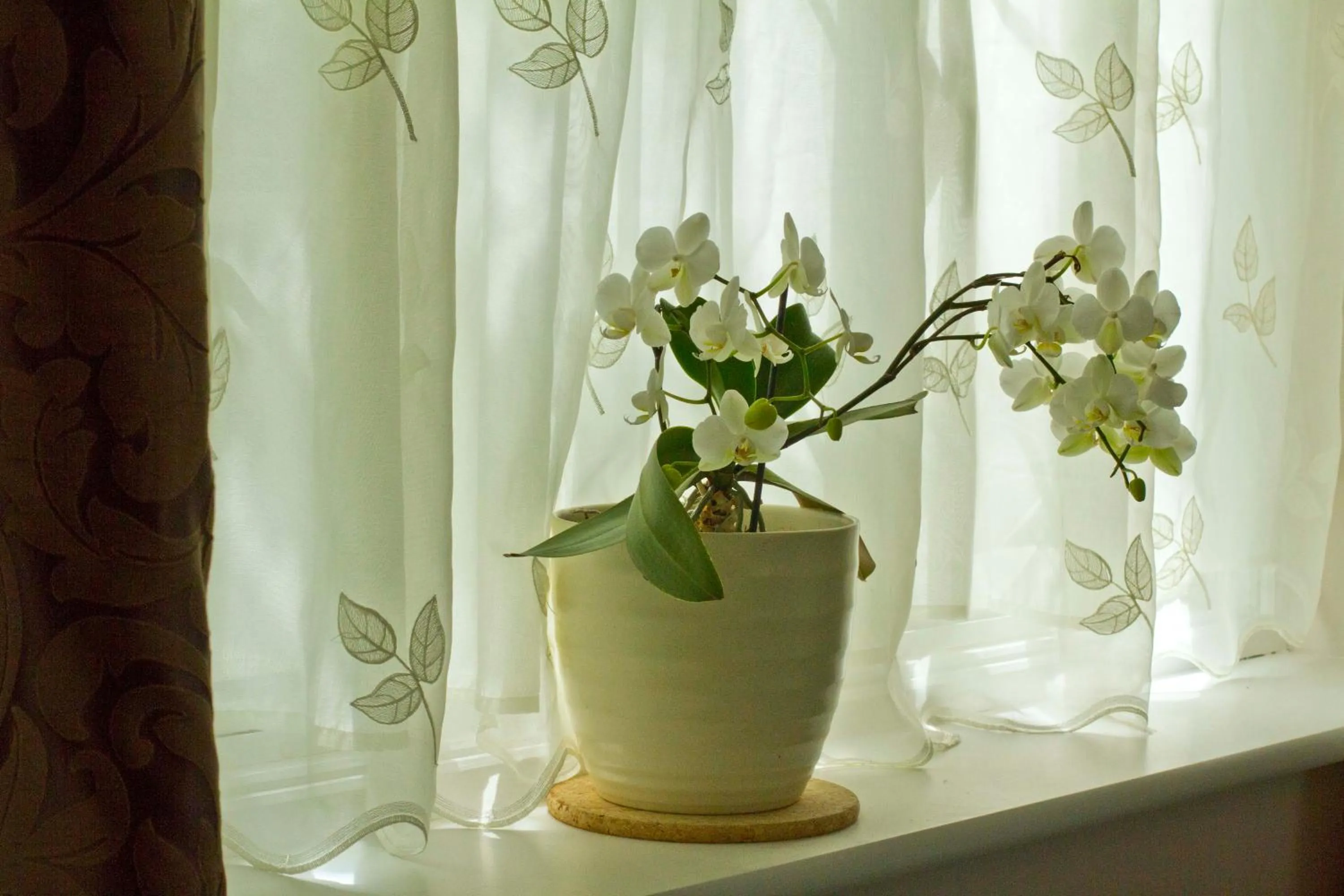 Decorative detail in Magpies Lodge