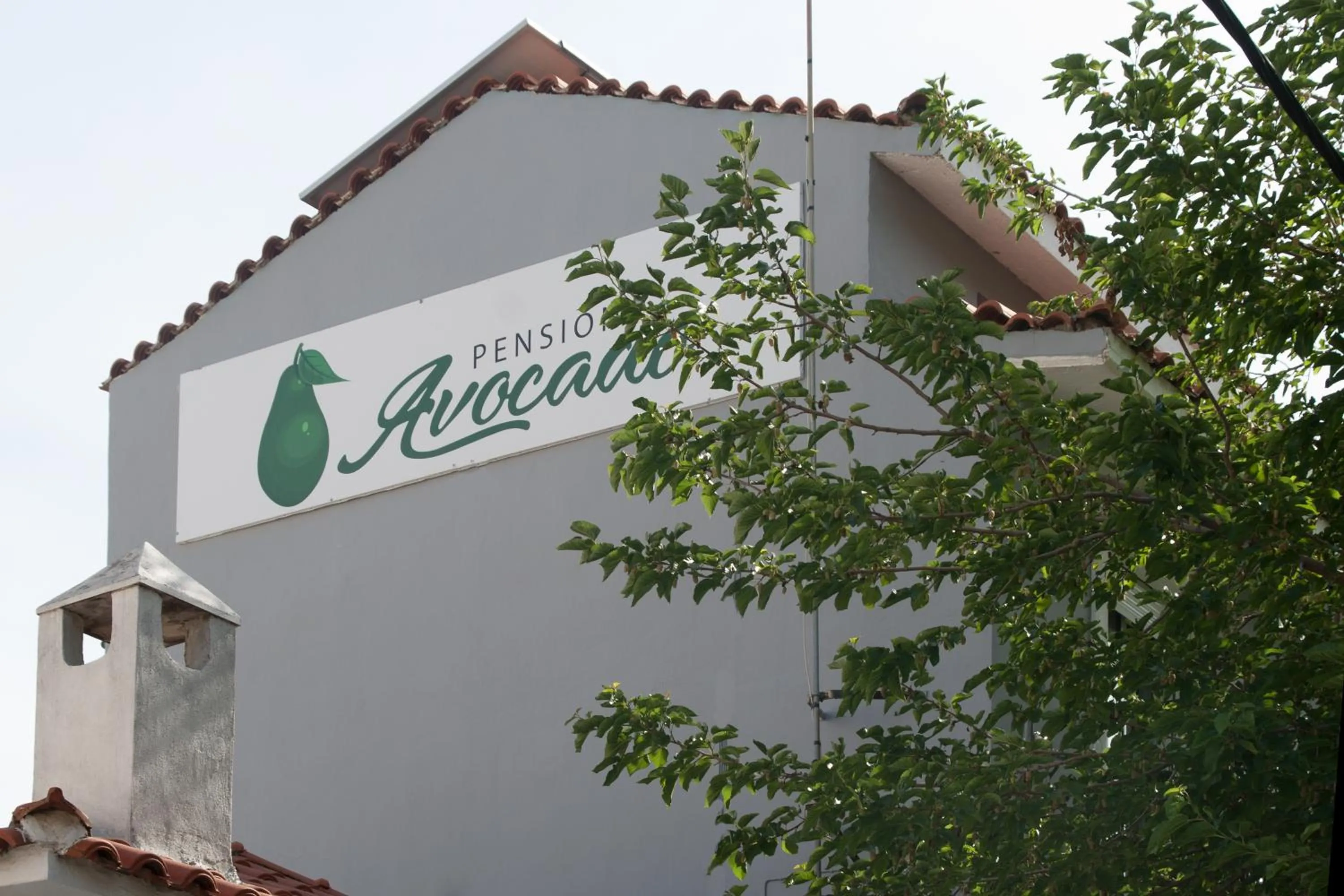 Property building in AVOCADO Skiathos