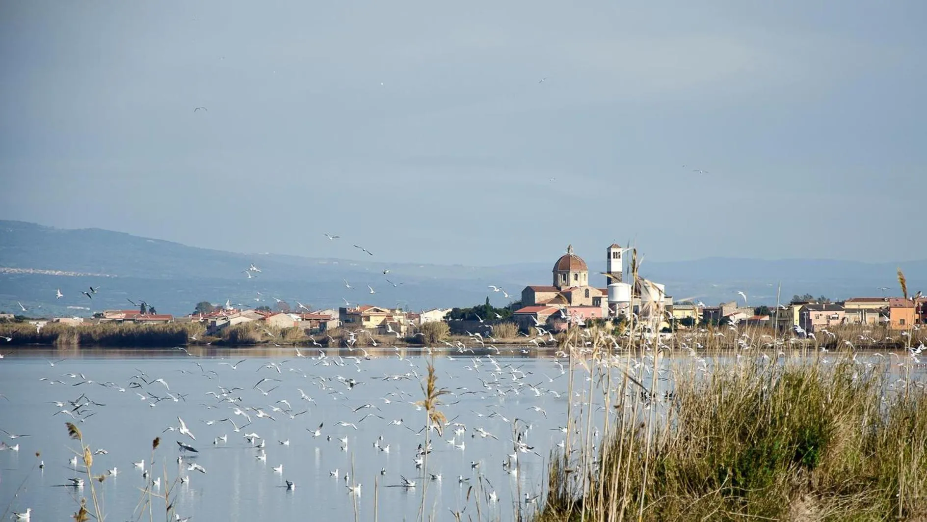 Natural landscape in Artista B&B