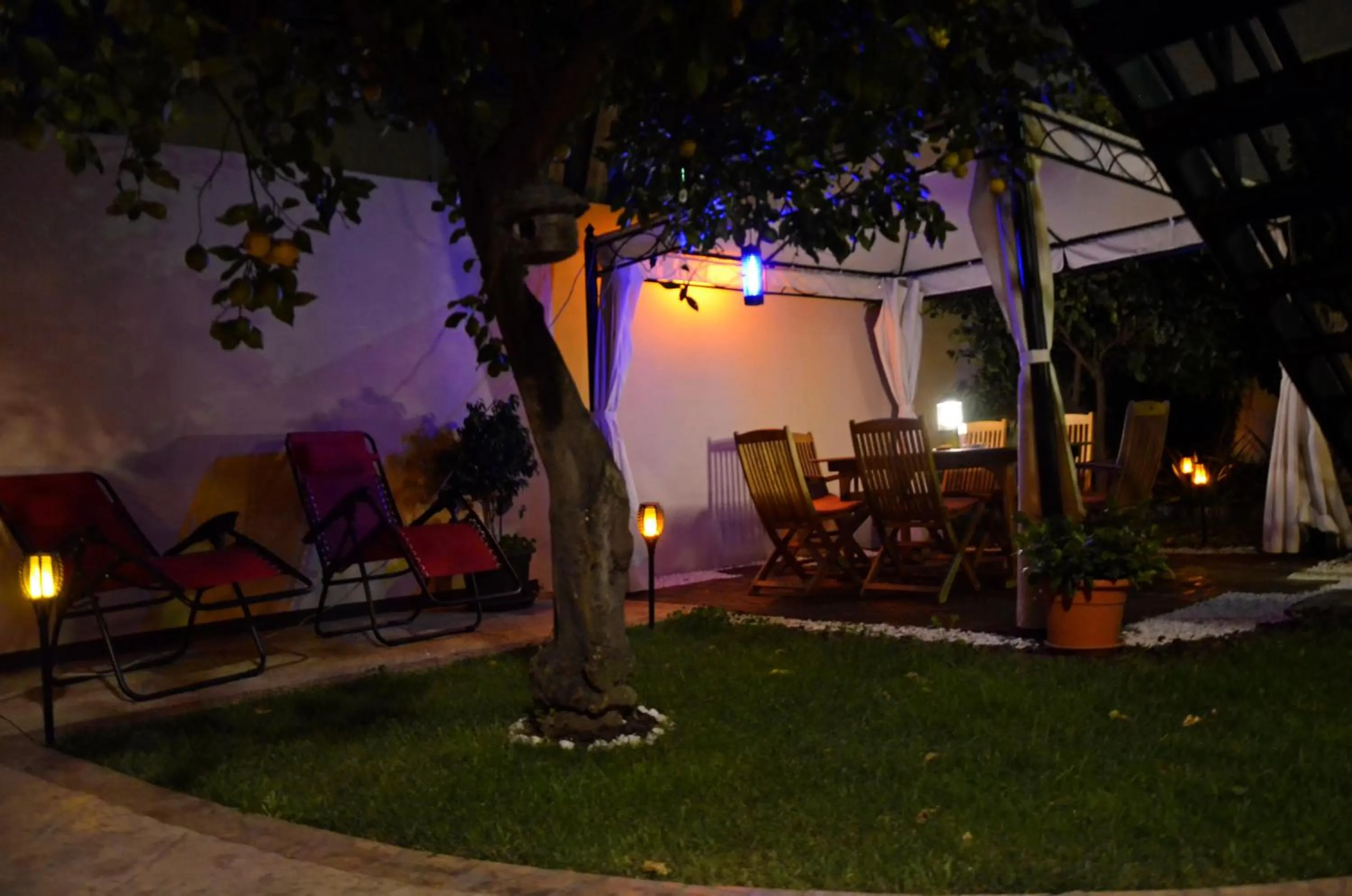 Garden in Artista B&B