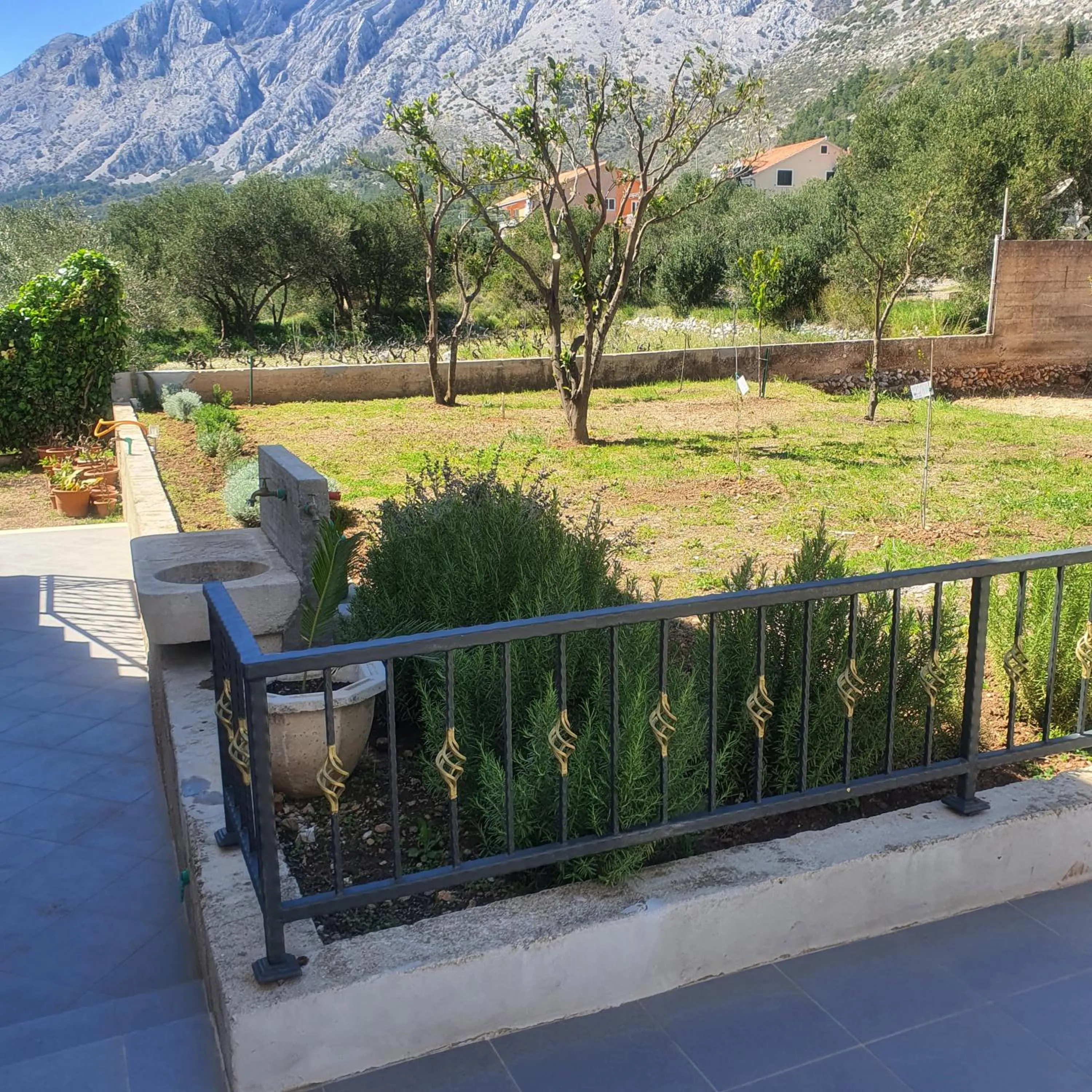Garden view in Villa Marina