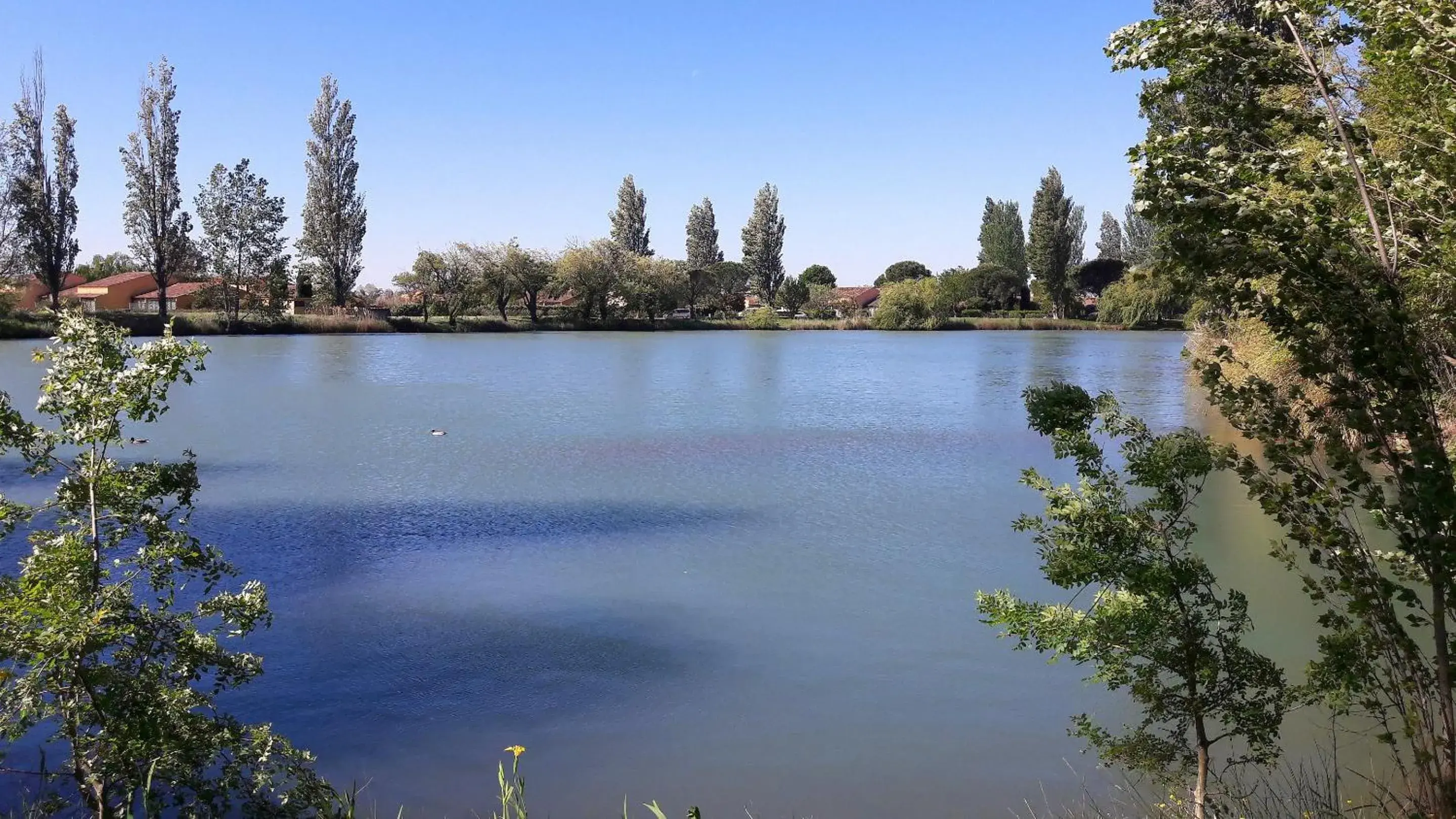 Other in Résidence Odalys Le Village Camarguais Les Gardians Other in Résidence Odalys Le Village Camarguais Les Gardians