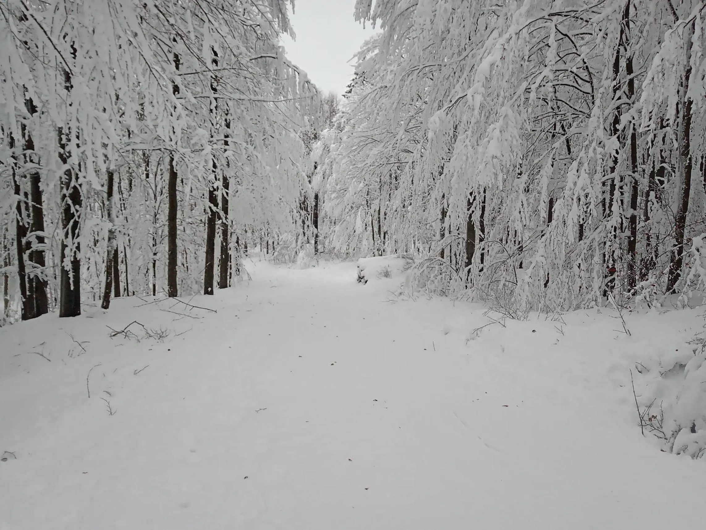 Winter in Landhotel Großeiberhof