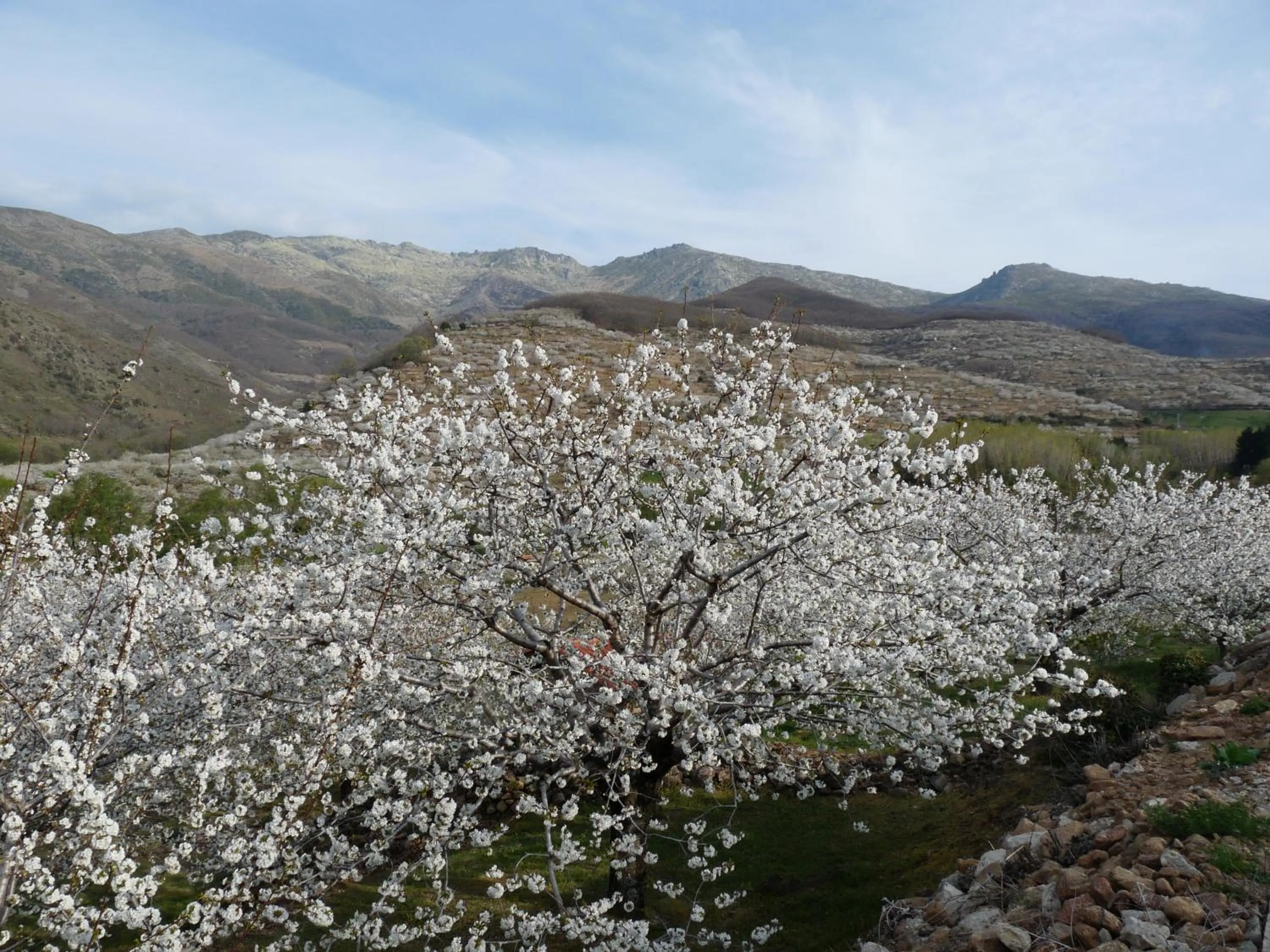 Spring in CR La Posada de los Sentidos