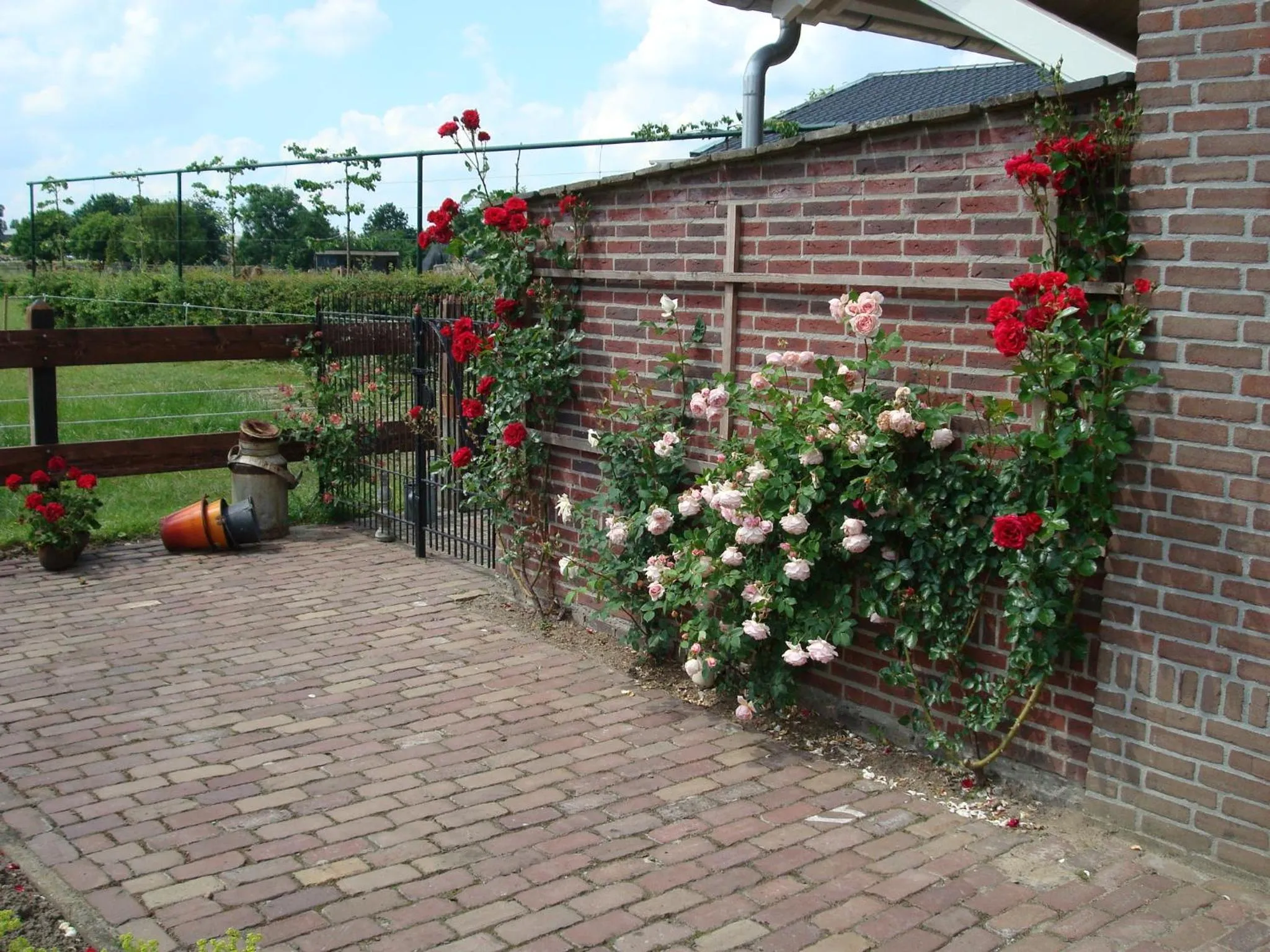 Other in Bed en Boterham