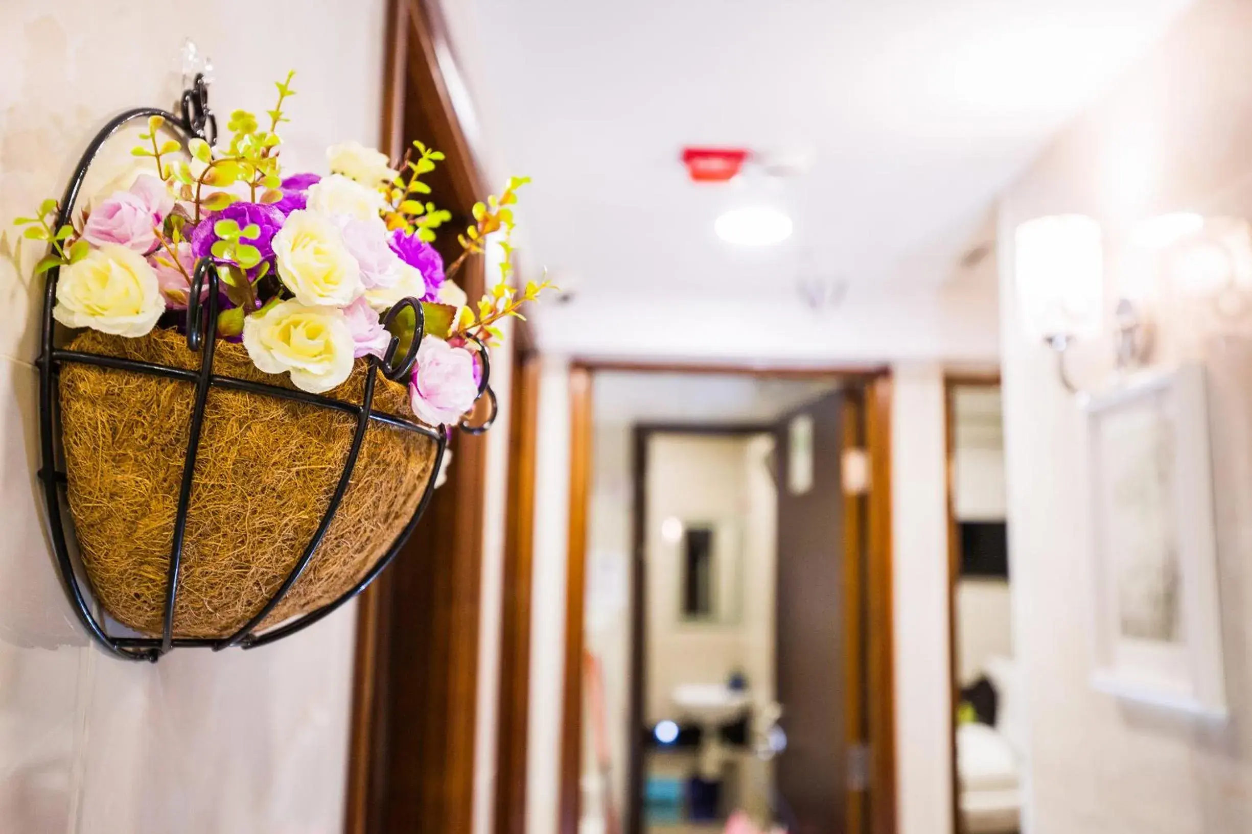 Other in Smiley Inn Other in Smiley Inn