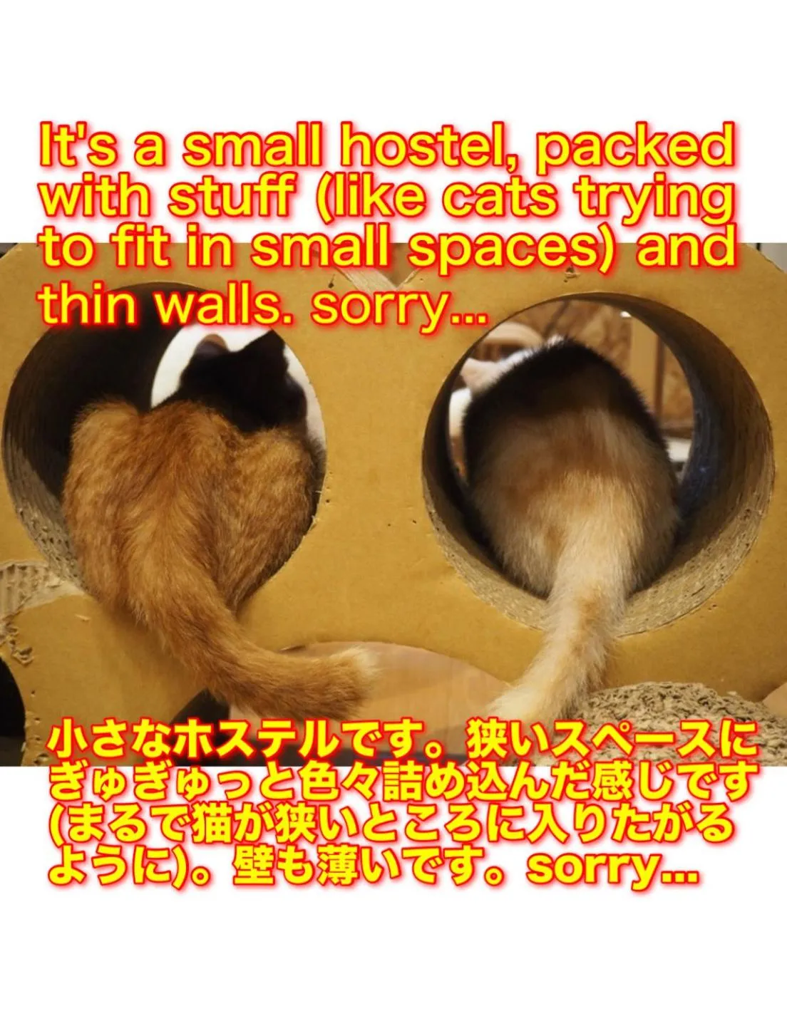 Text overlay in Nekokura Hostel