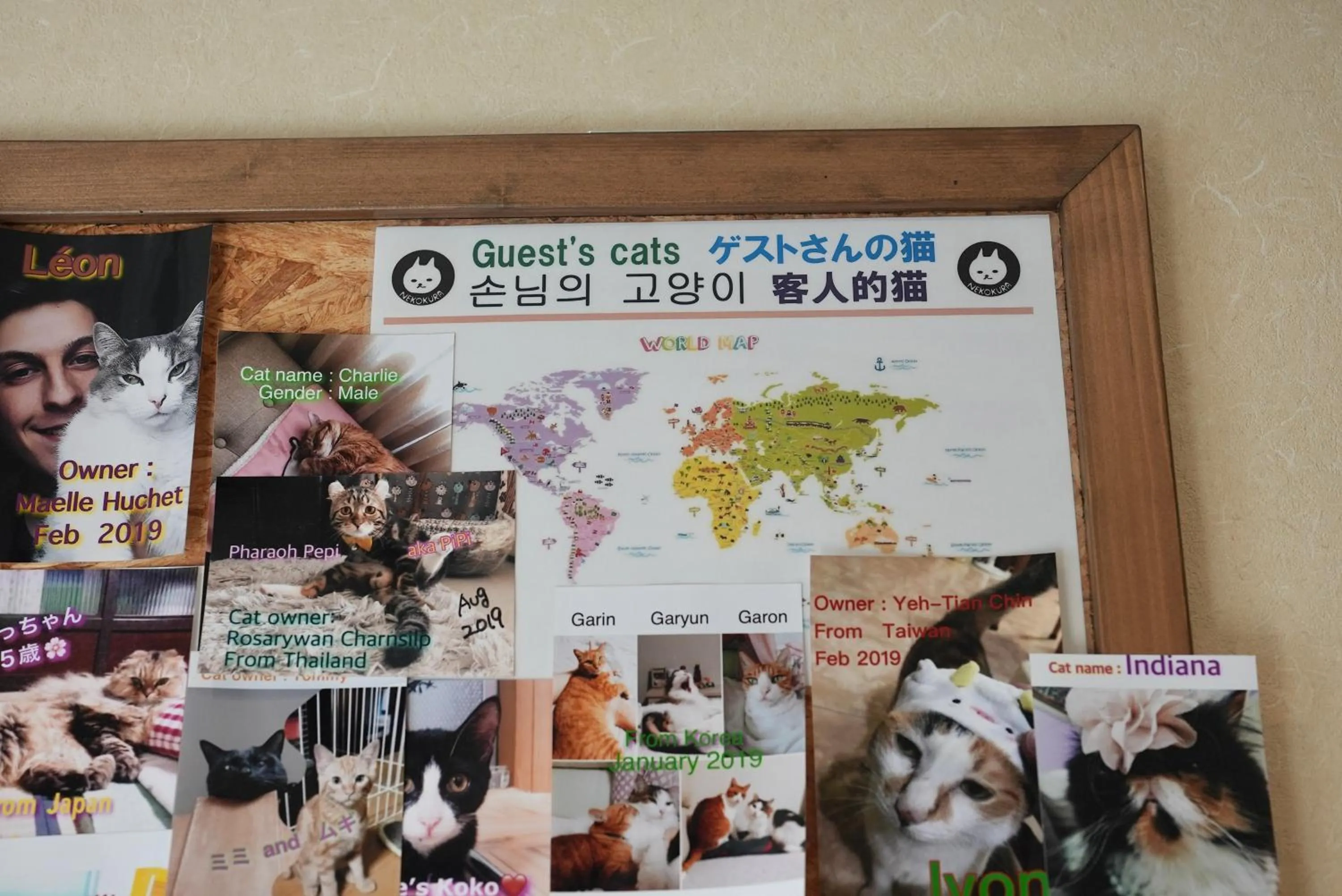 Other in Nekokura Hostel