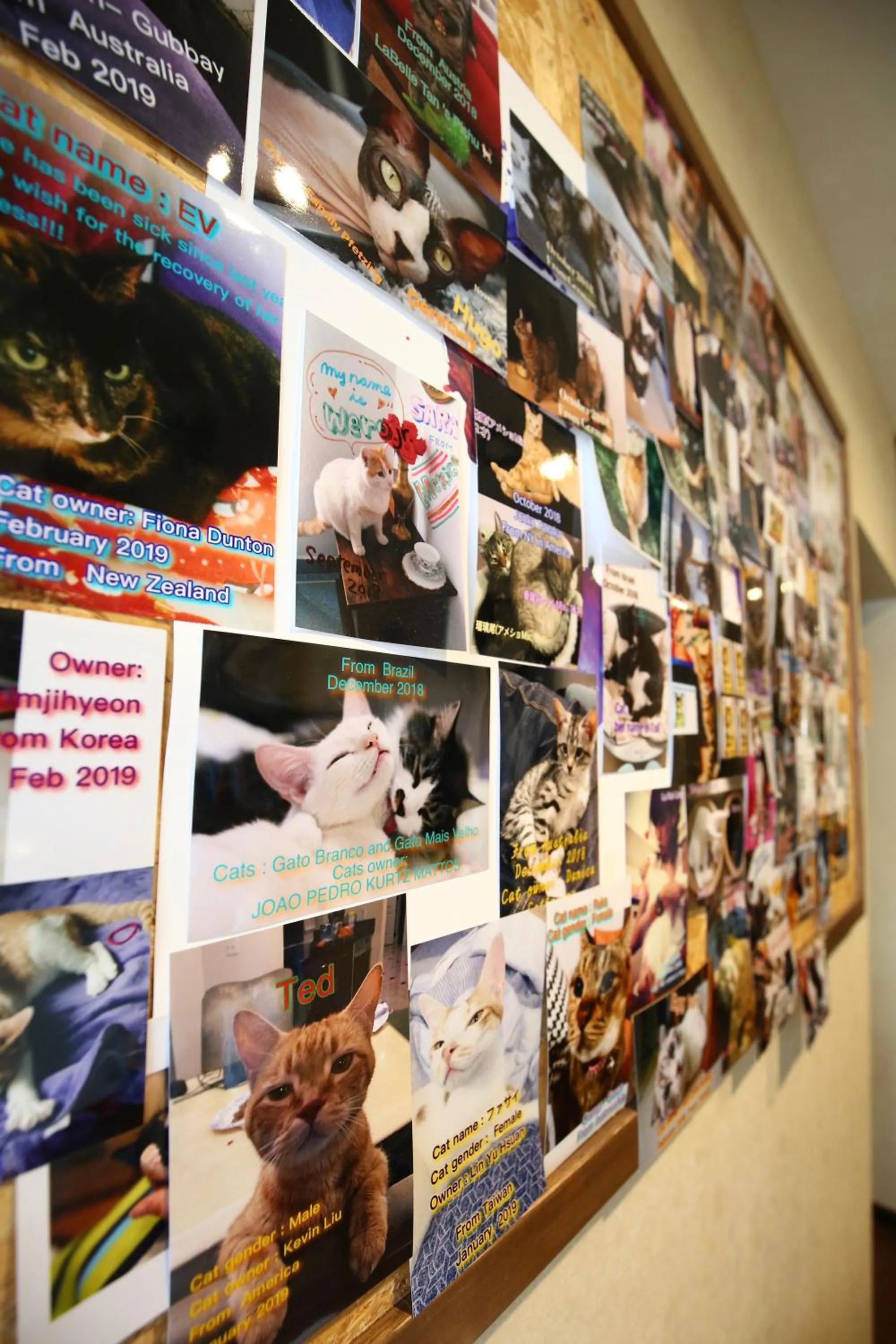 Decorative detail in Nekokura Hostel