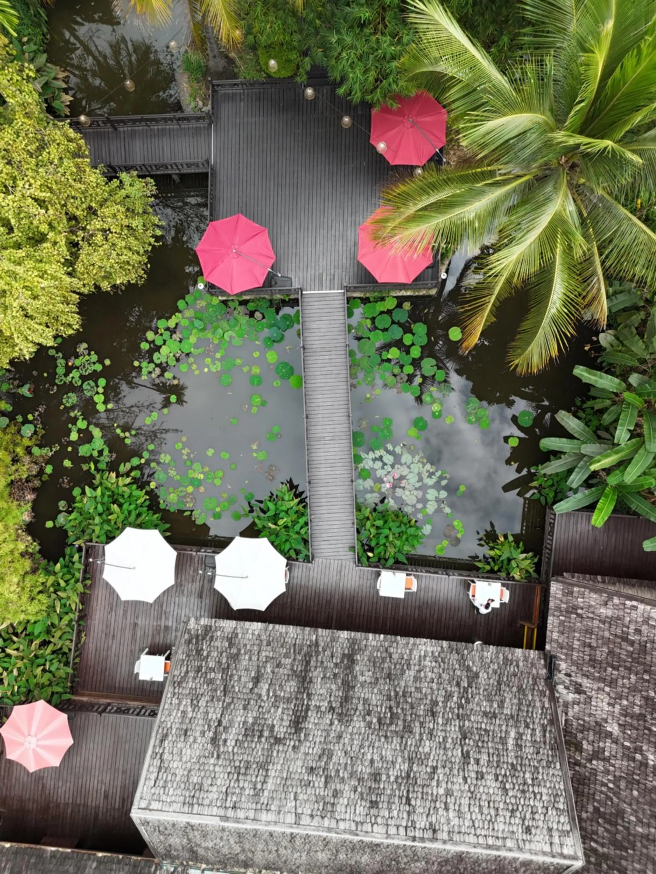 Garden in Parasol Blanc