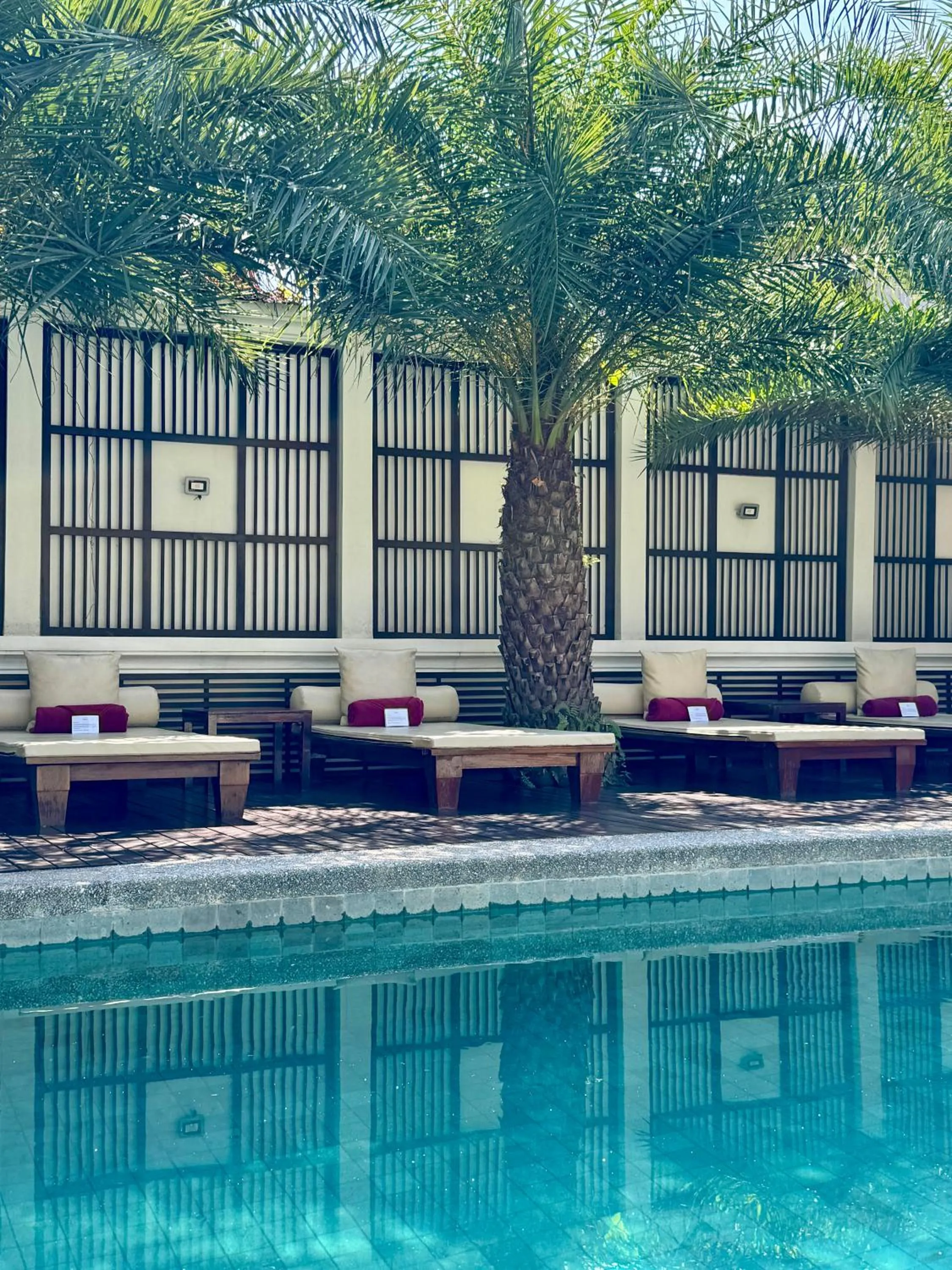 Swimming pool in Parasol Blanc