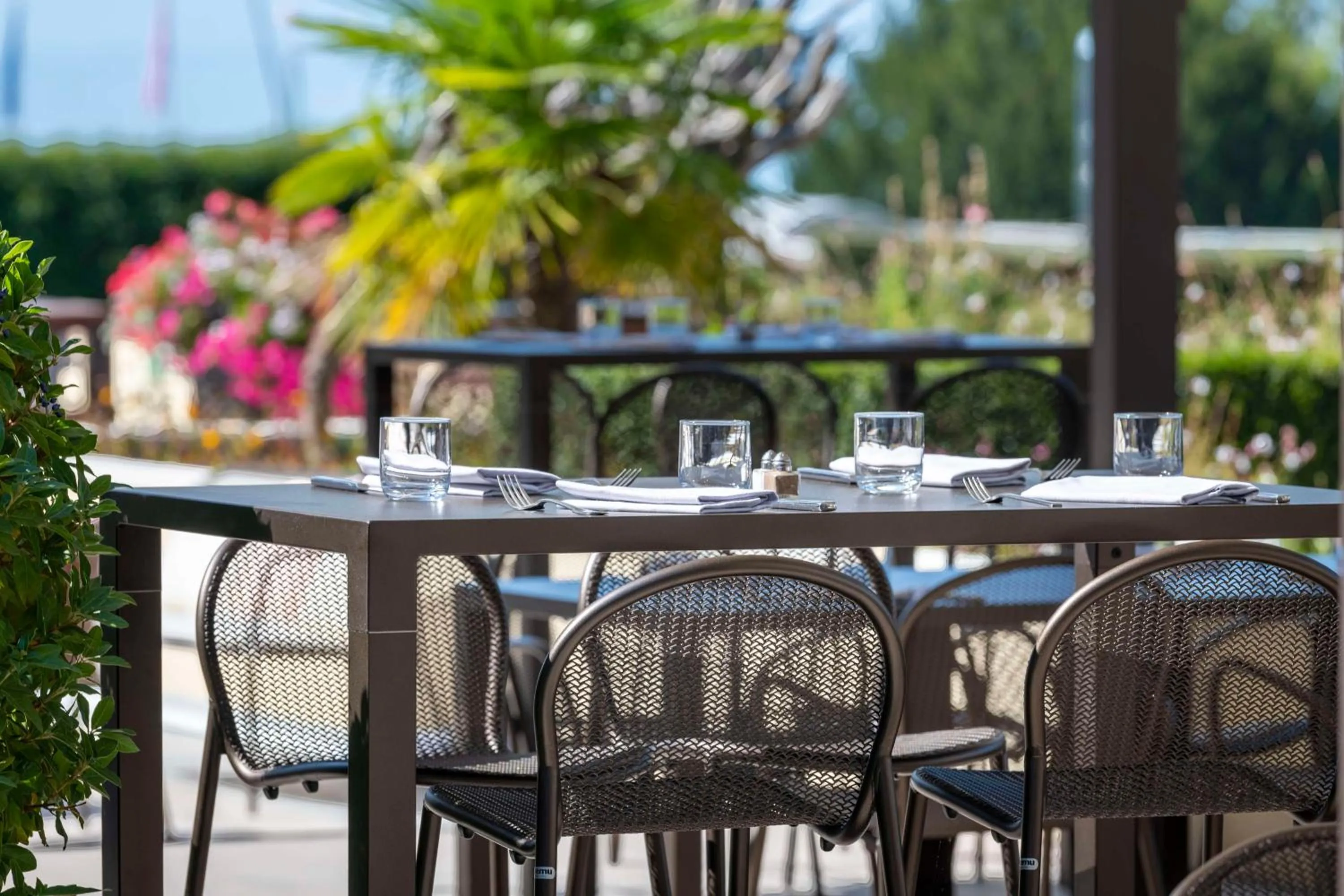 Restaurant/places to eat in Hilton Evian Les Bains