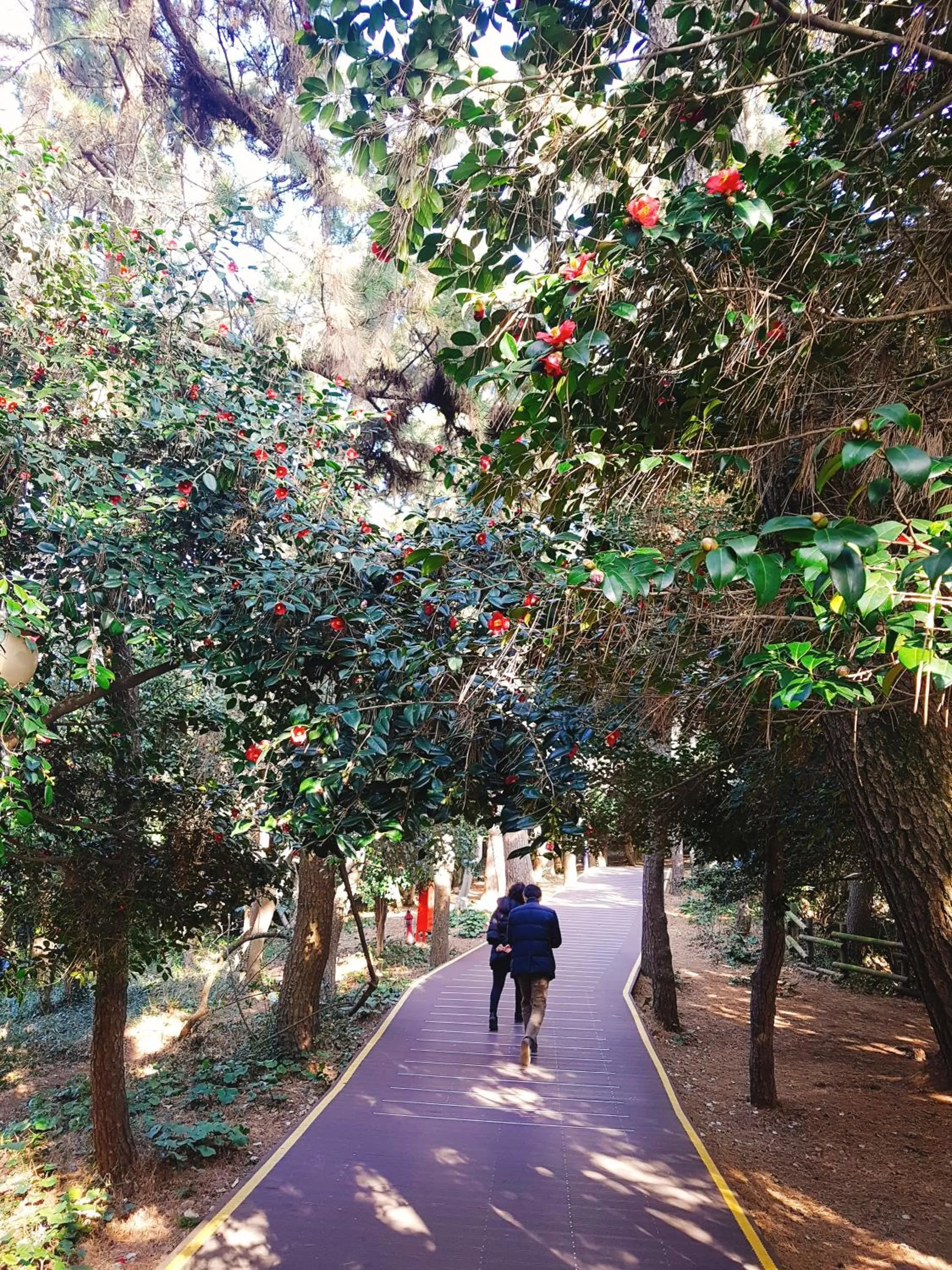 Staff in Big O Show Guesthouse