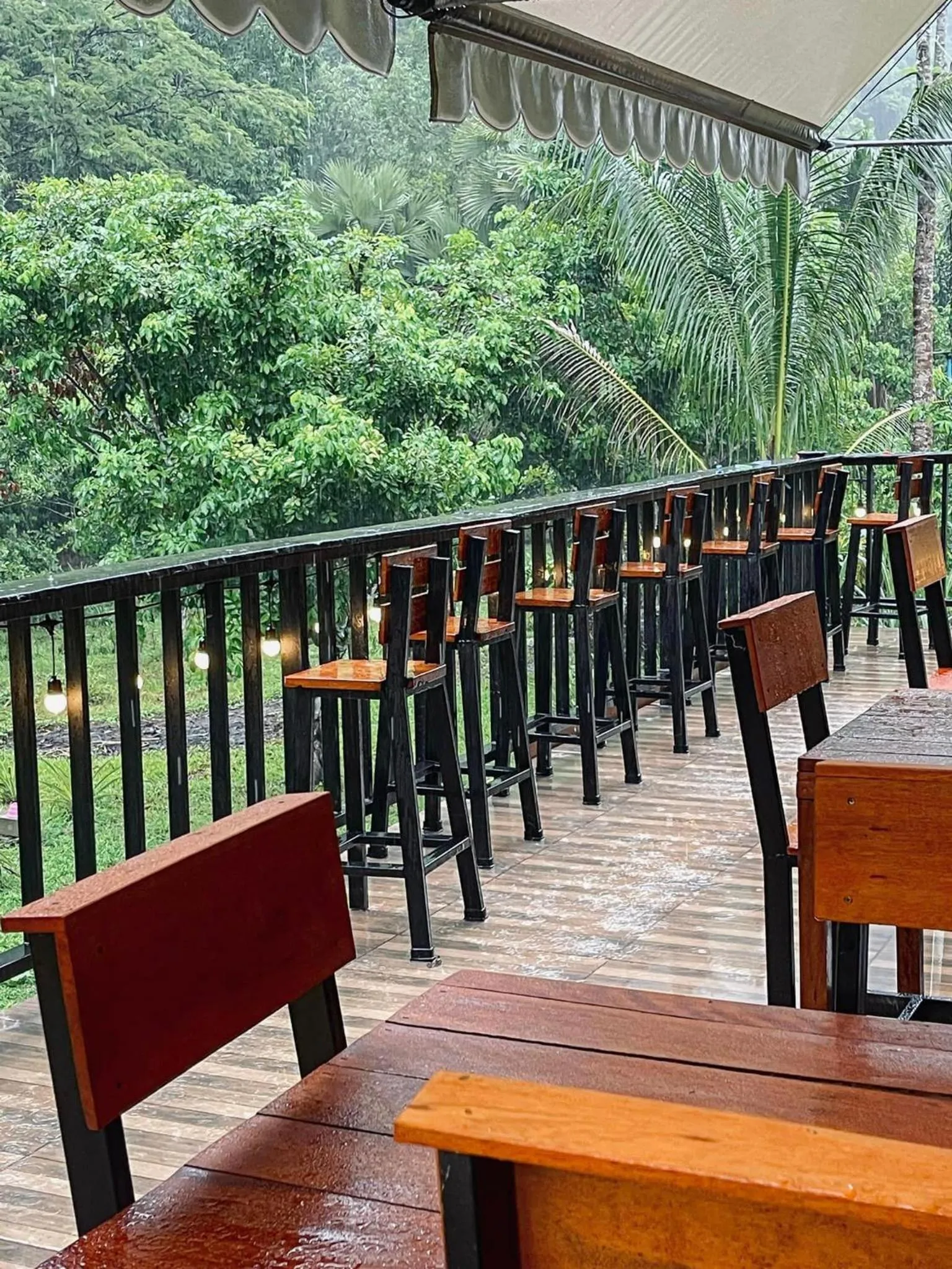 Restaurant/places to eat in Khao Sok Green Mountain View
