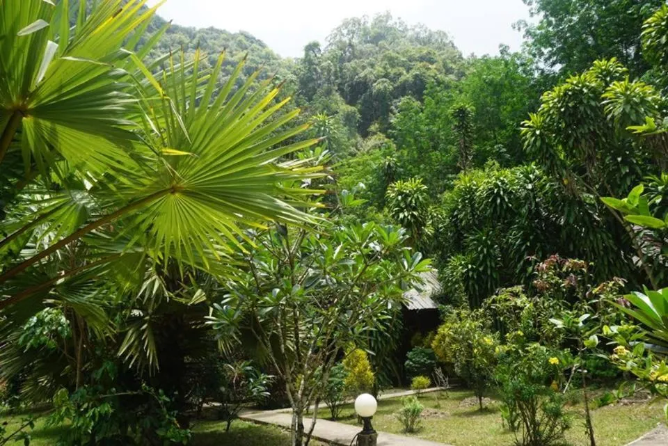 Property building in Khao Sok Green Mountain View